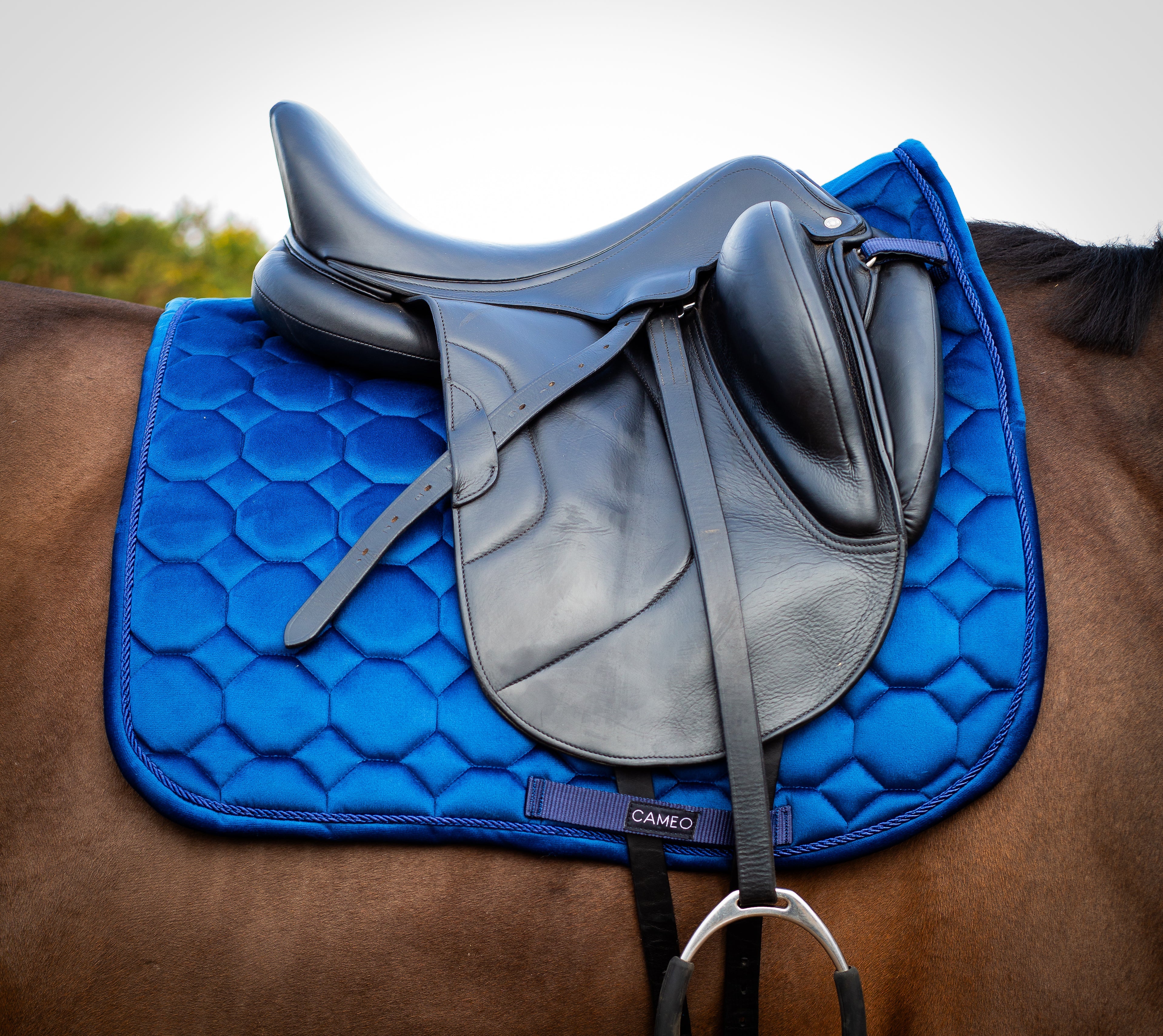 Dressage Saddlecloth
