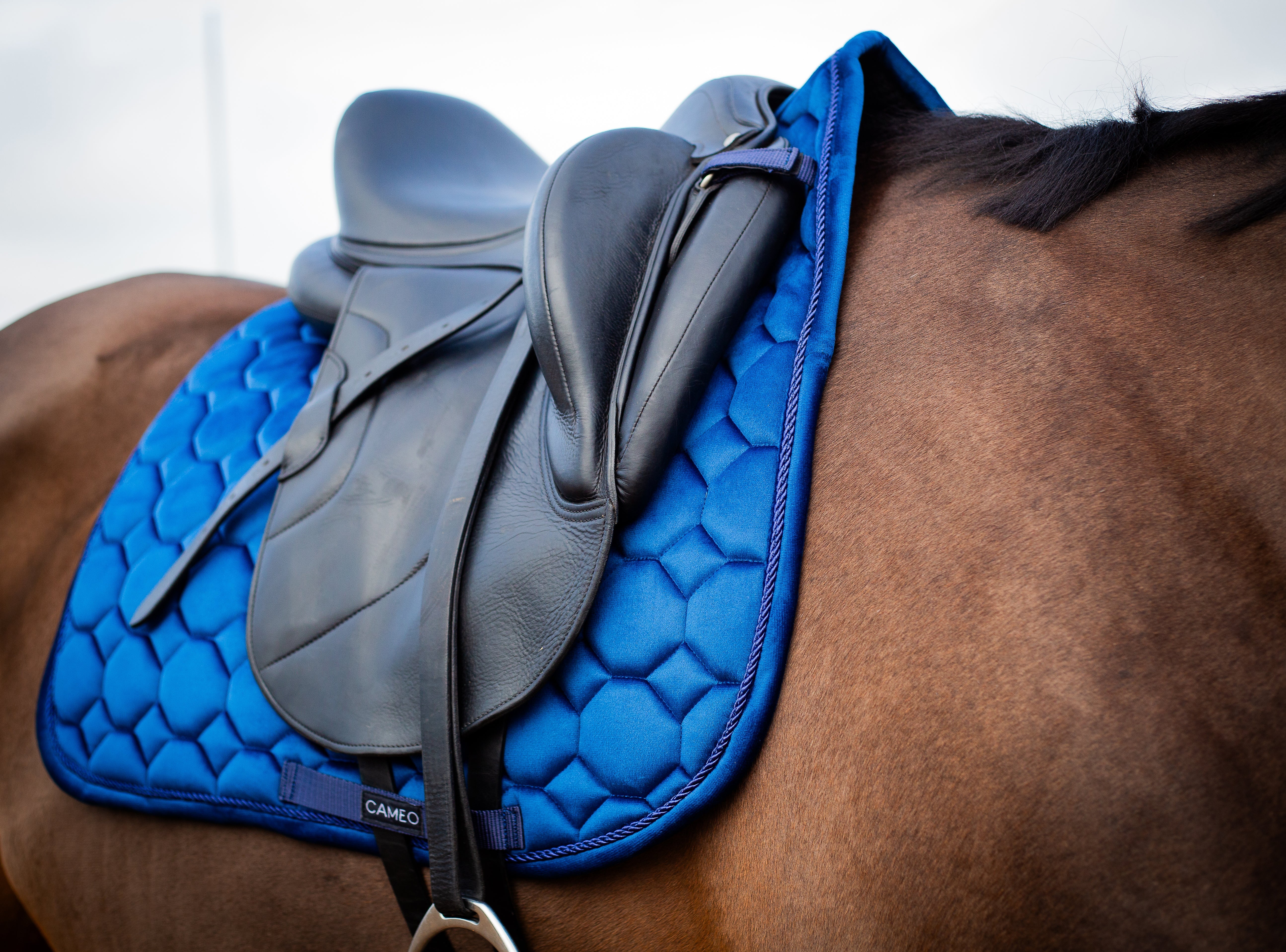 Dressage Saddlecloth