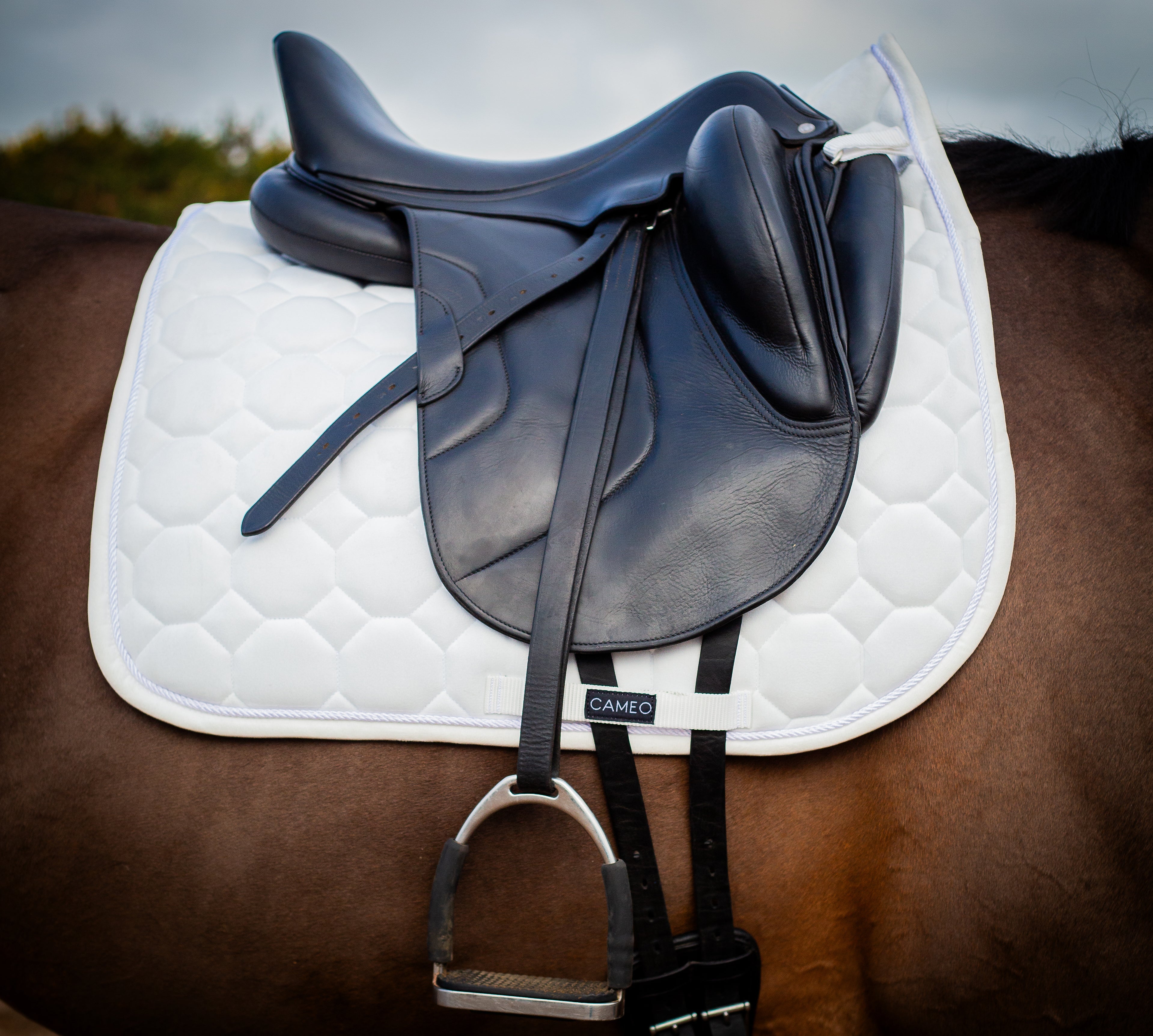 Dressage Saddlecloth