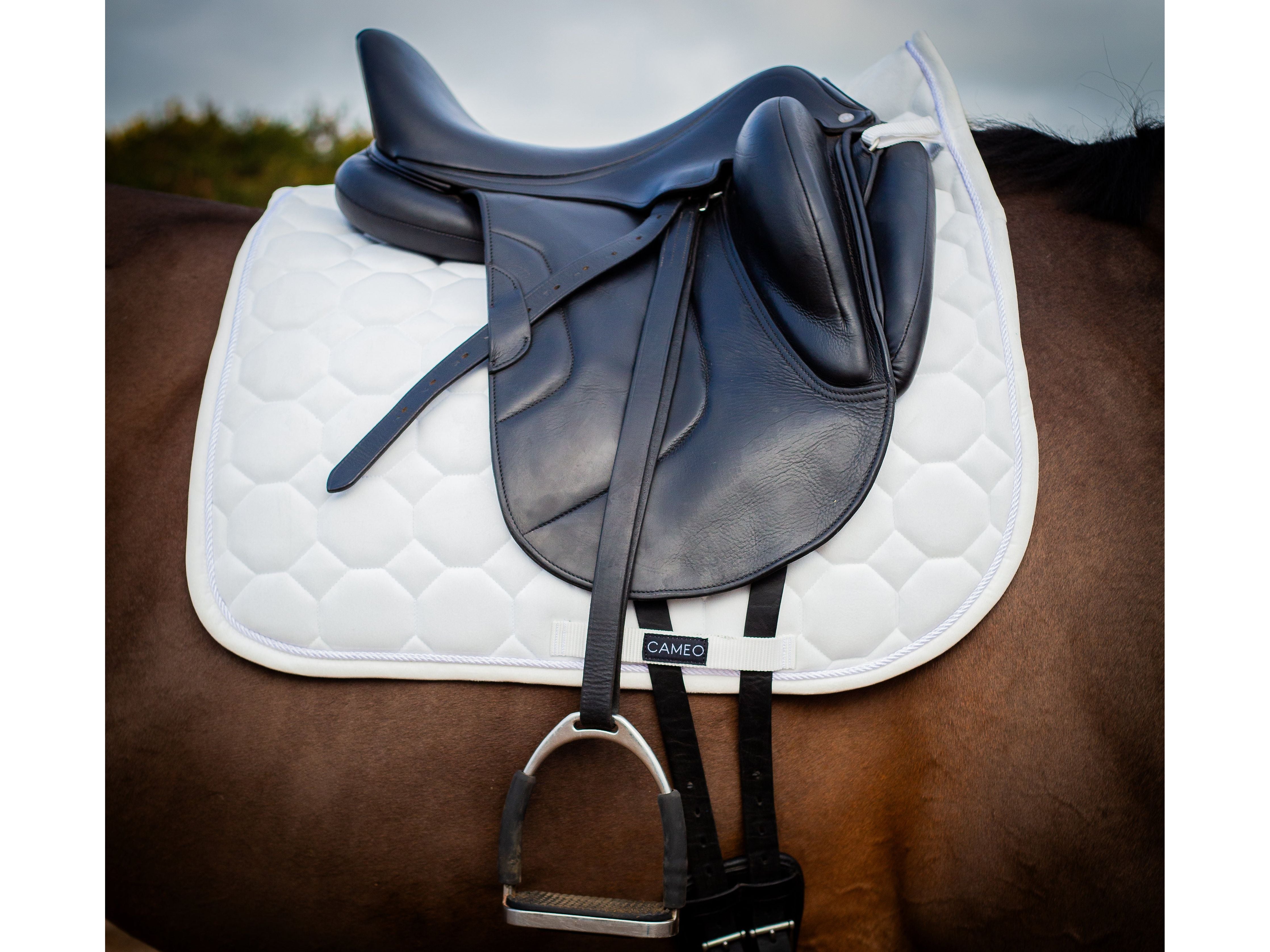 Dressage Saddlecloth view
