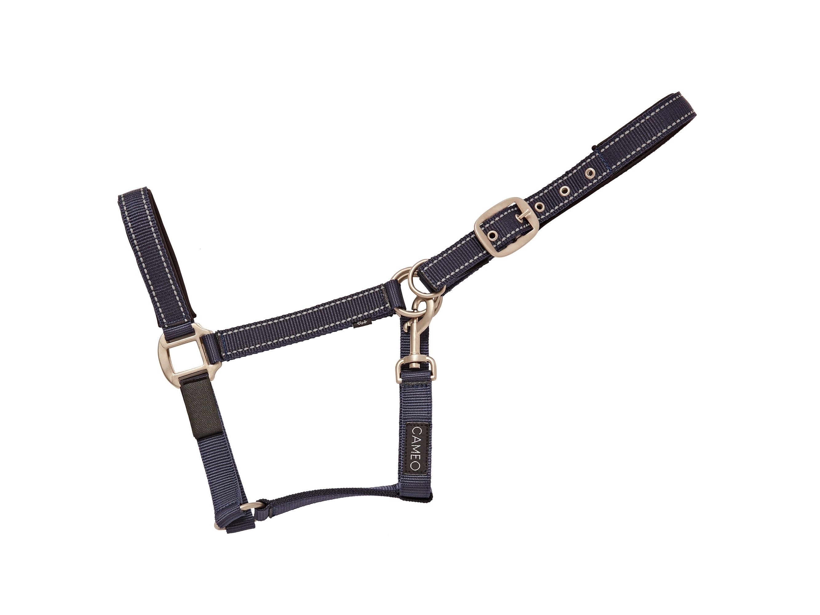 Fieldsafe Headcollar view