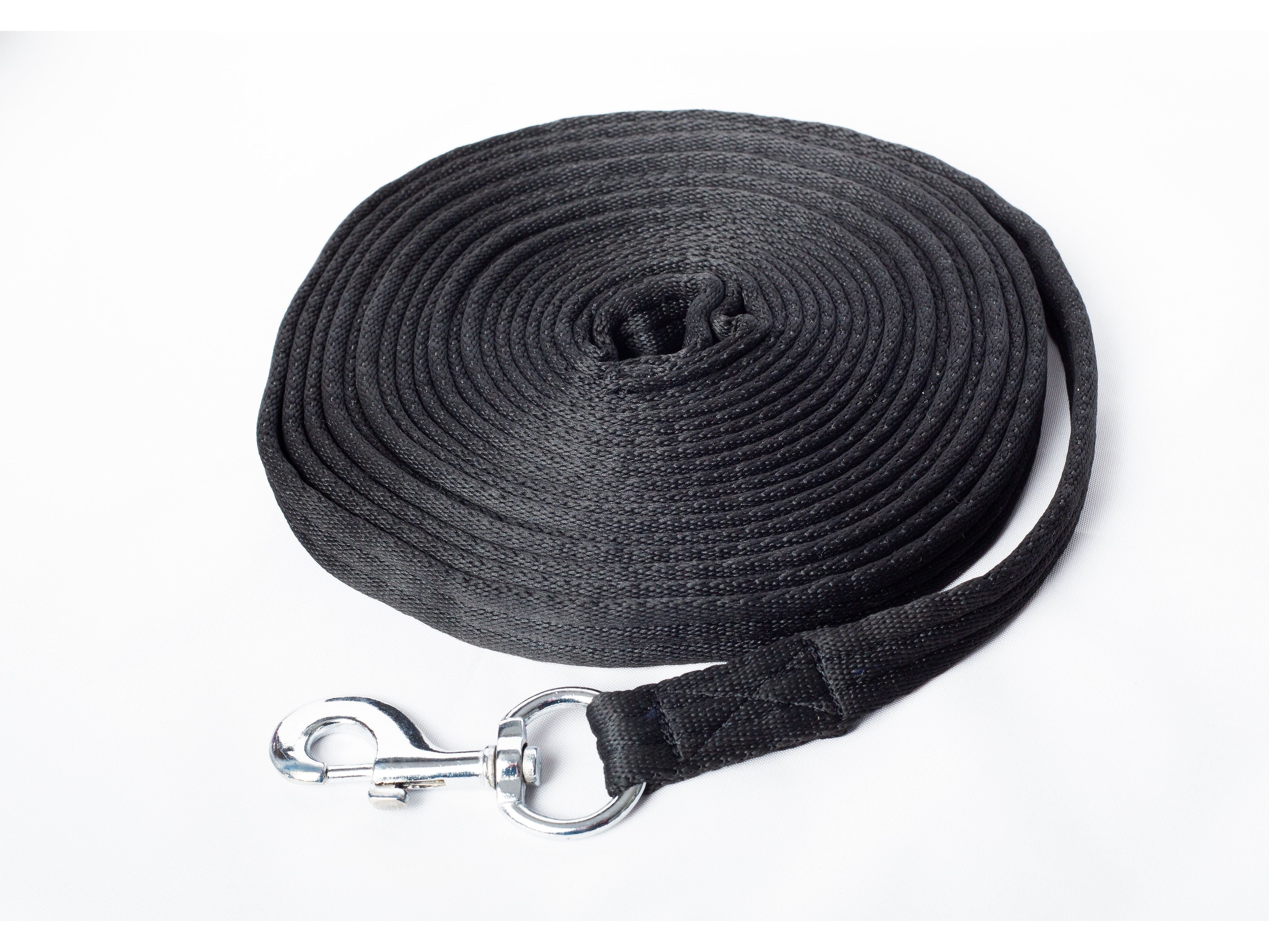 Lunge Line detail view