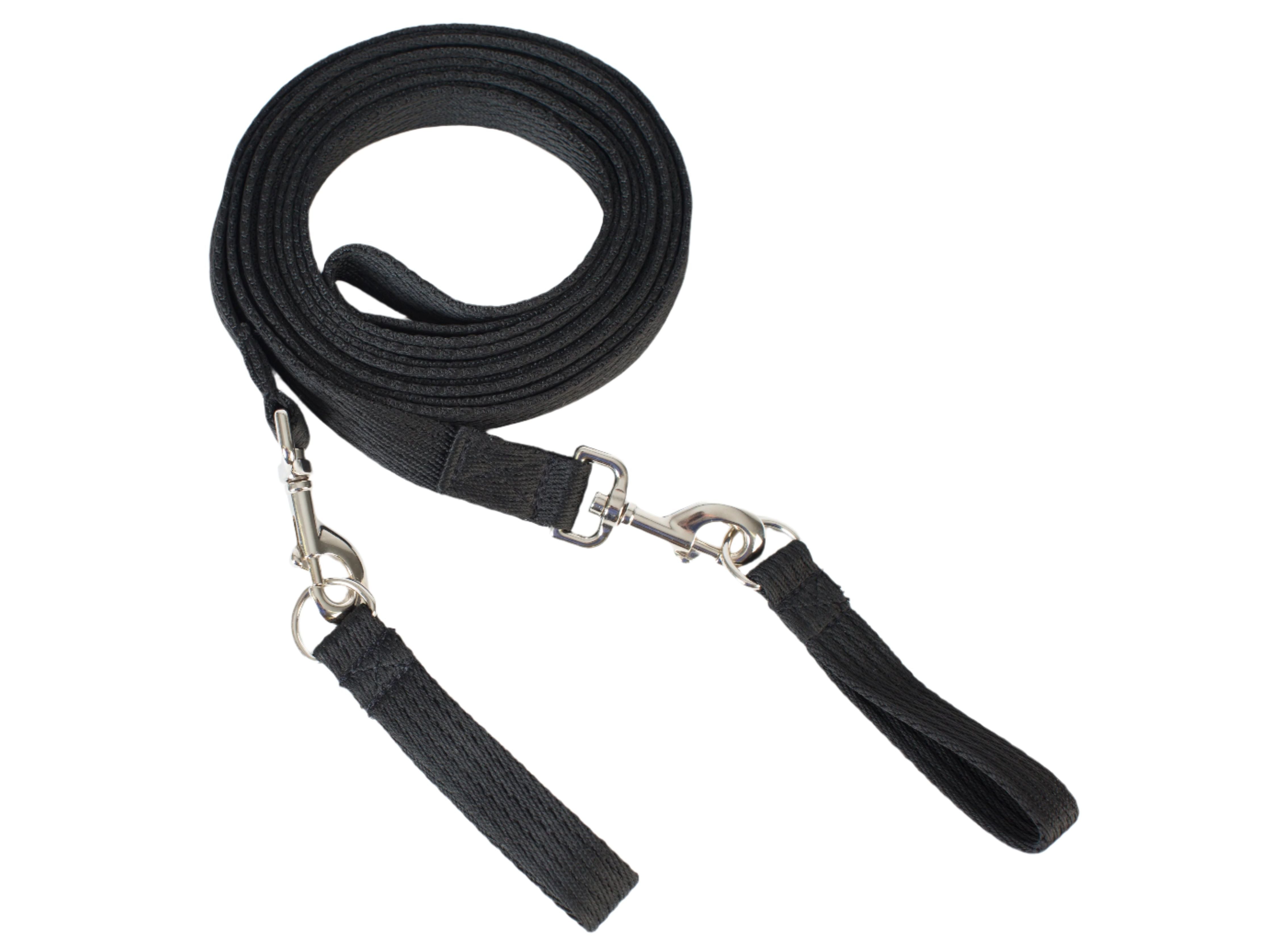 Draw Reins detail view