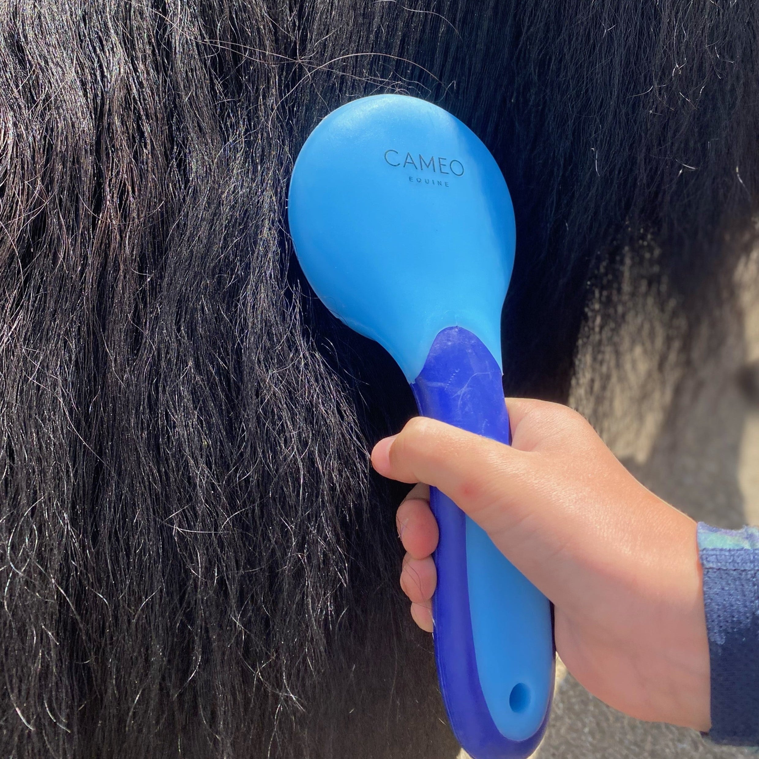 Mane and Tail Brush