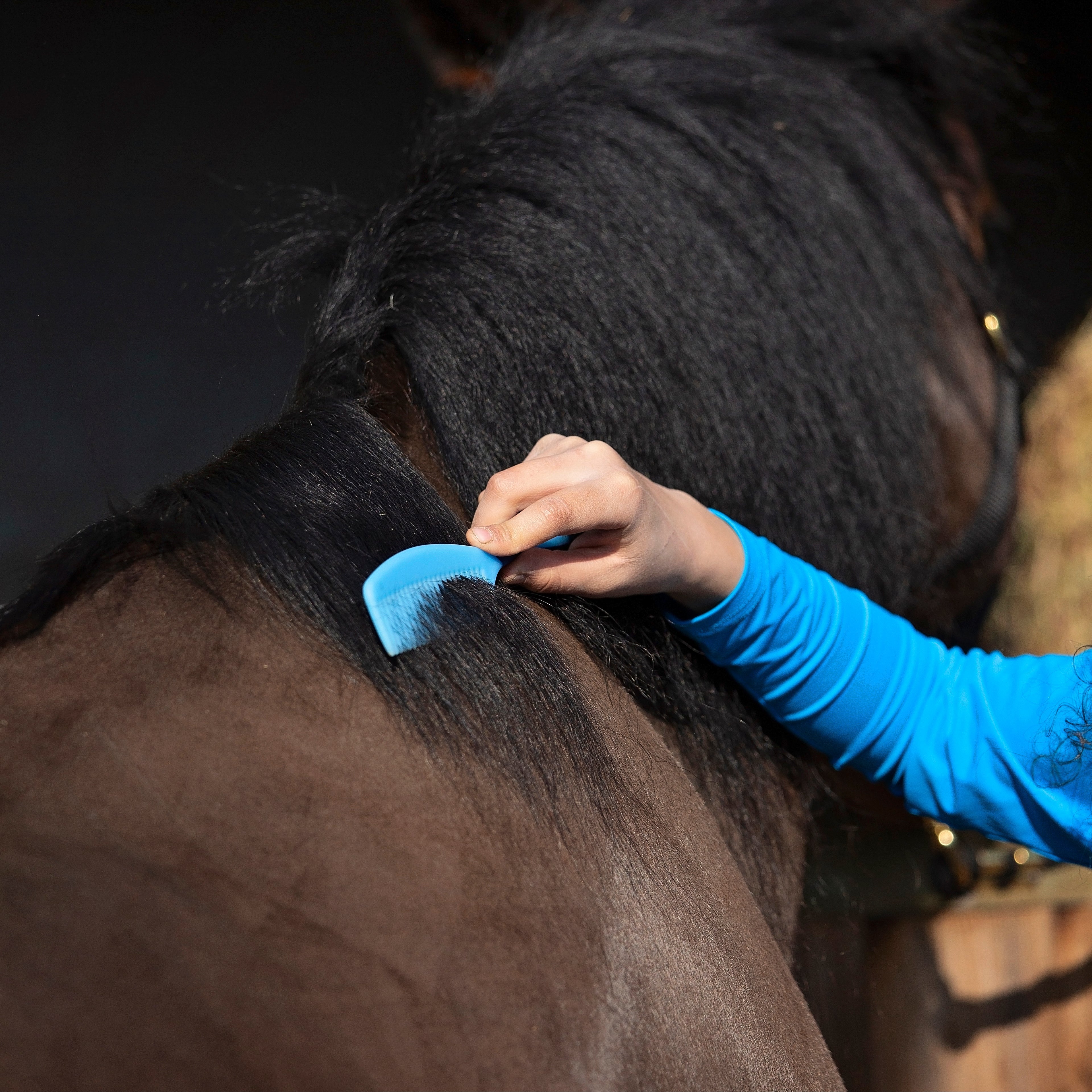 Mane Comb