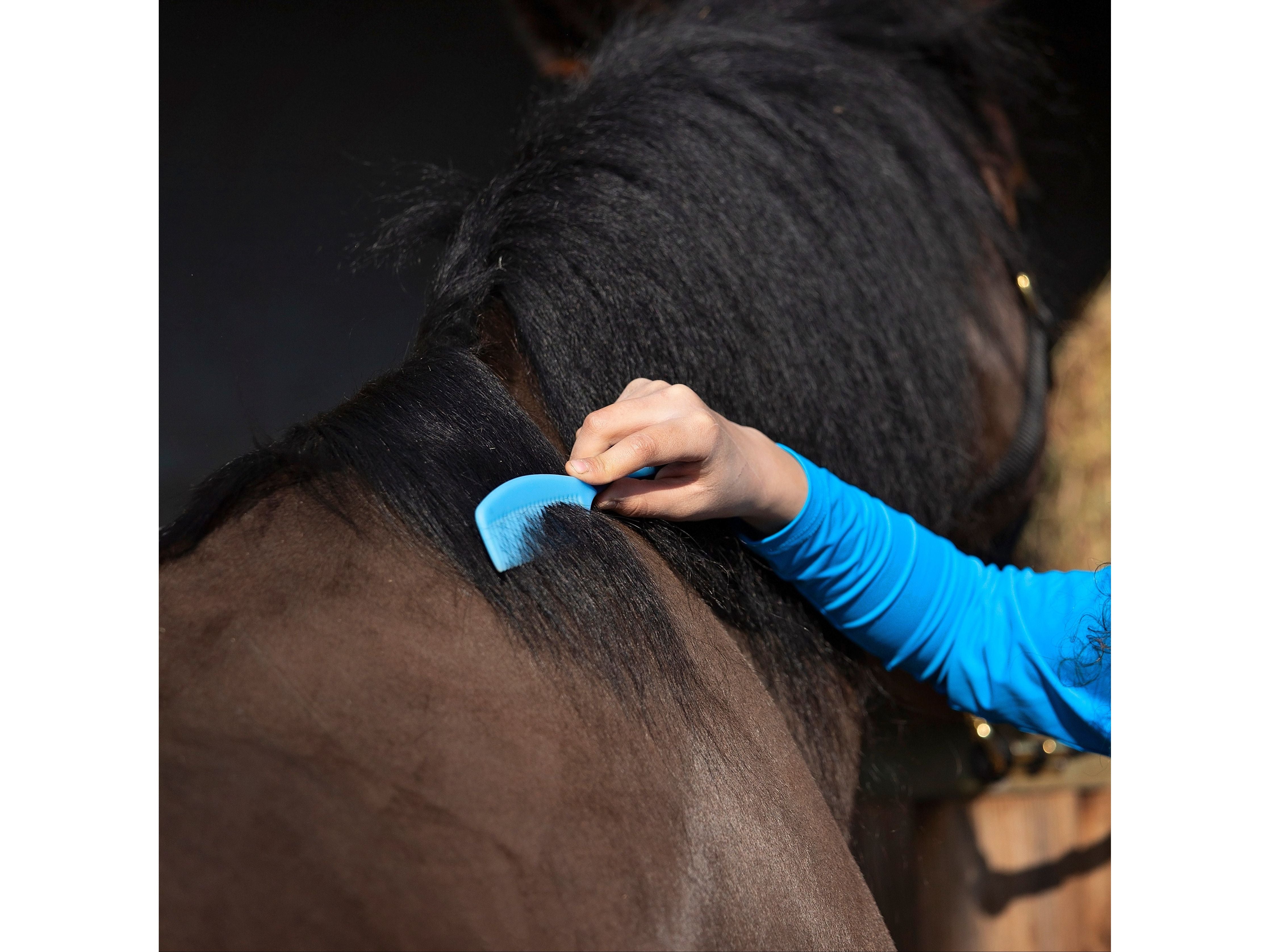 Mane Comb angled view