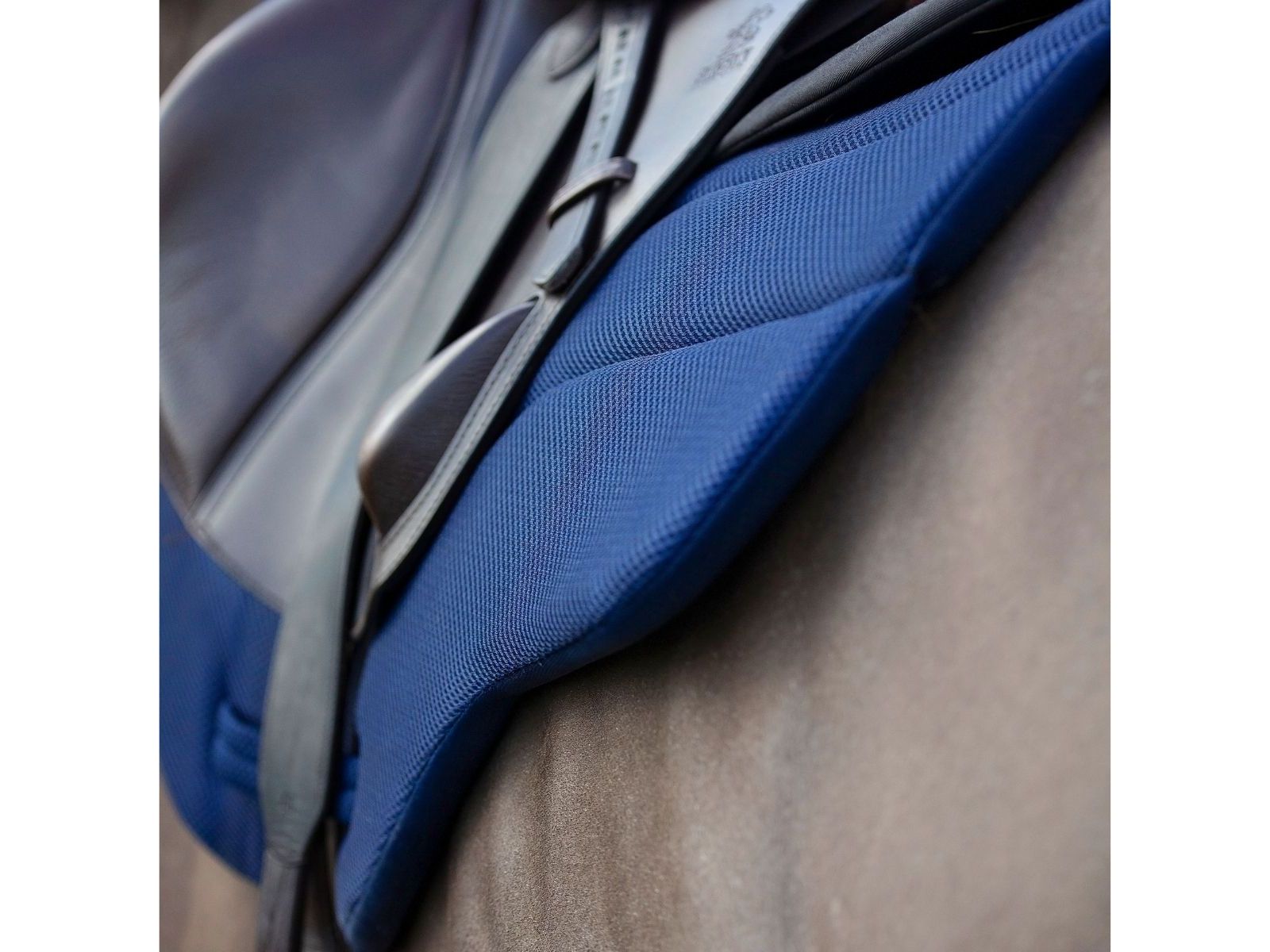 Air Saddlecloth GP/Jump side view