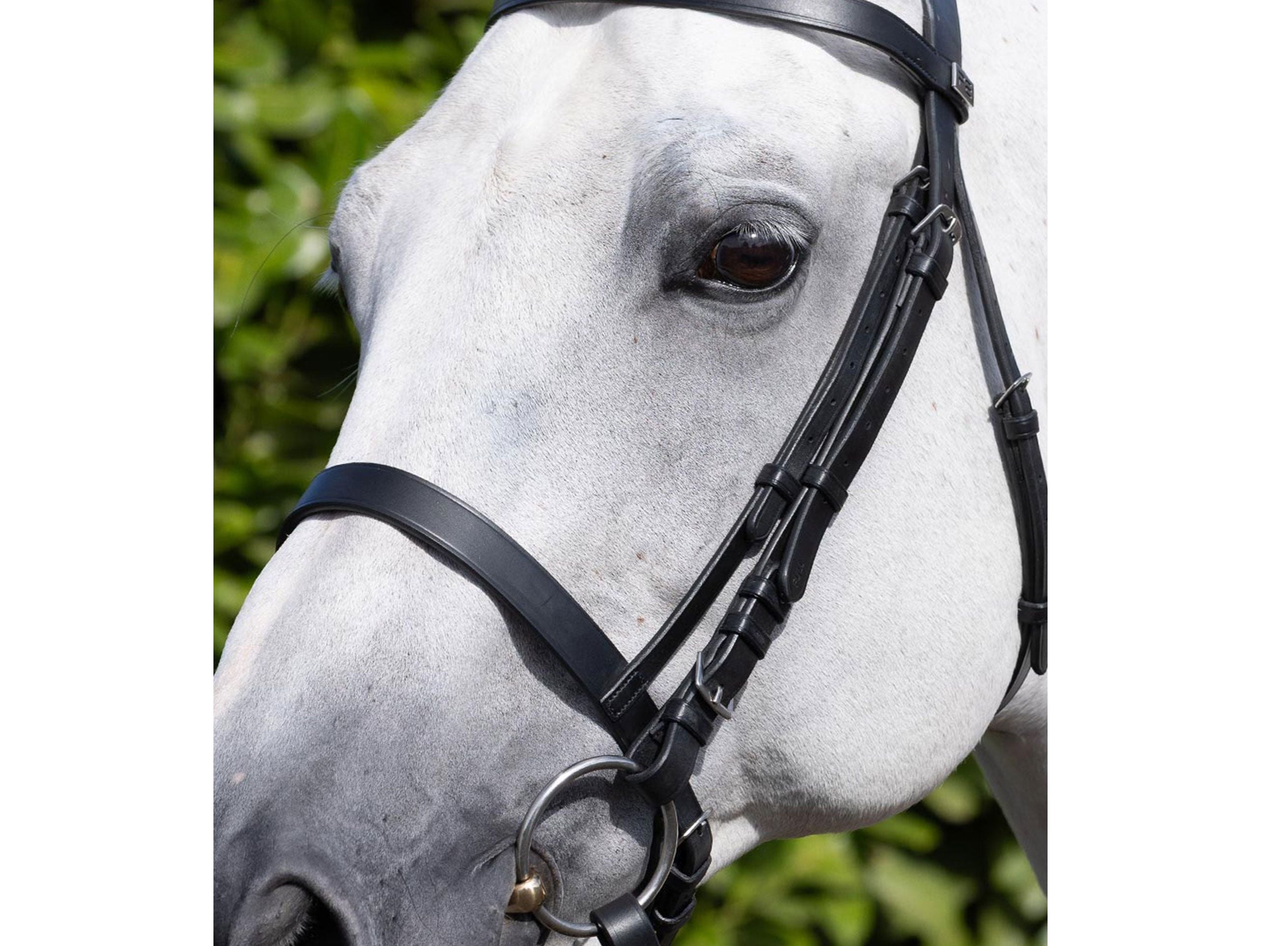 Cavesson Noseband for Racing Bridle