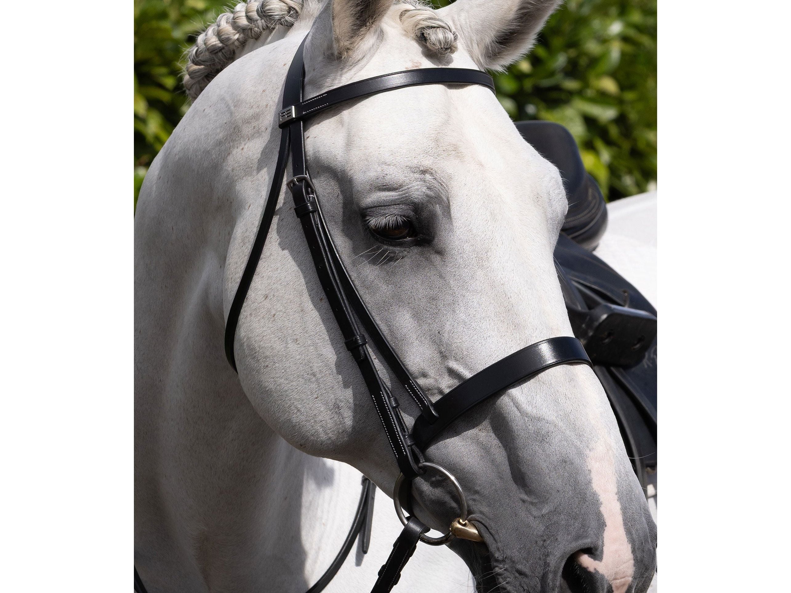Cheek Pieces for Hunter Bridle