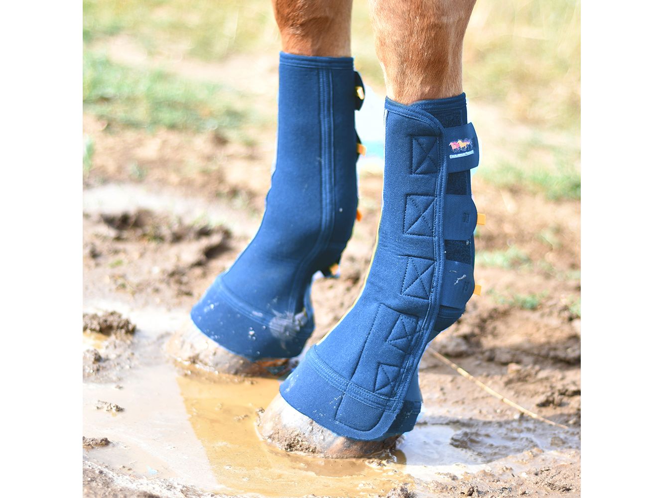 Equilibrium Equi-Chaps Close Contact Chaps