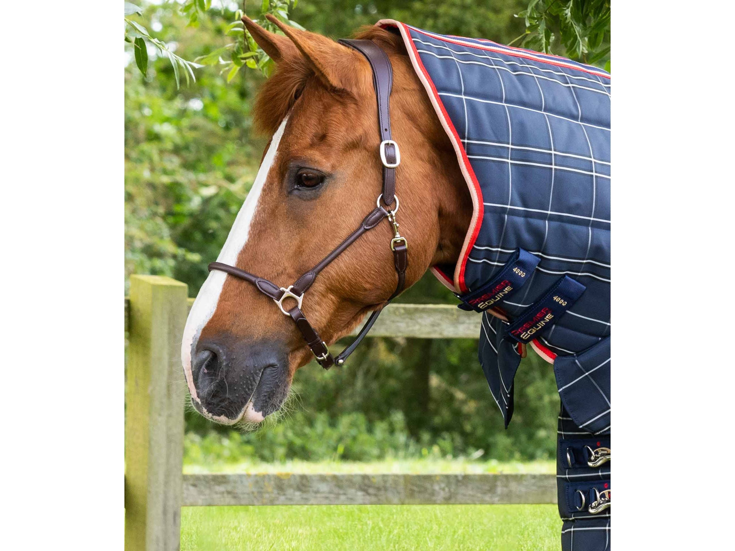 Domus 400g Combo Stable Rug