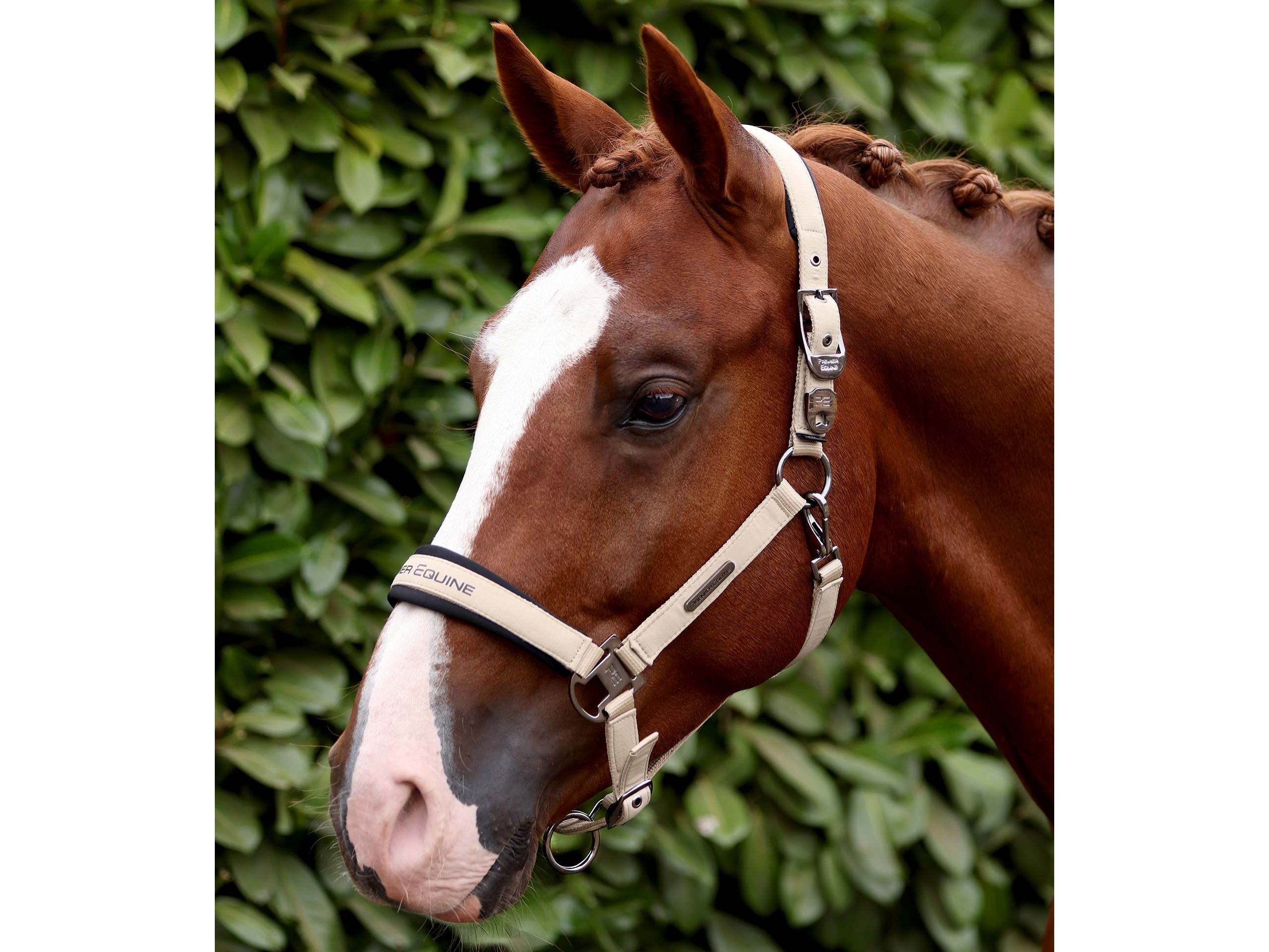 Duco Padded Head Collar With Lead Rope
