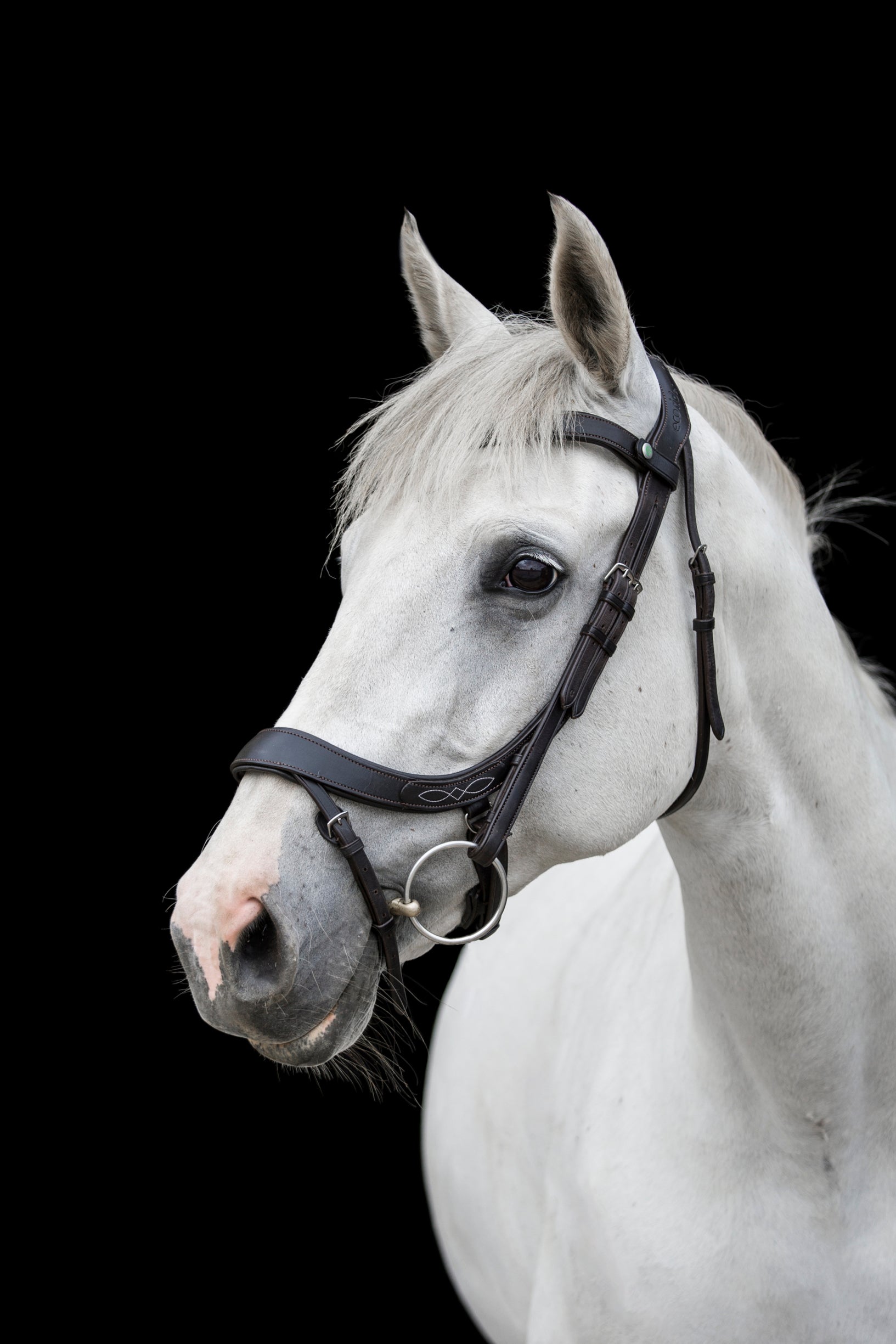 Freedom Comfort Noseband