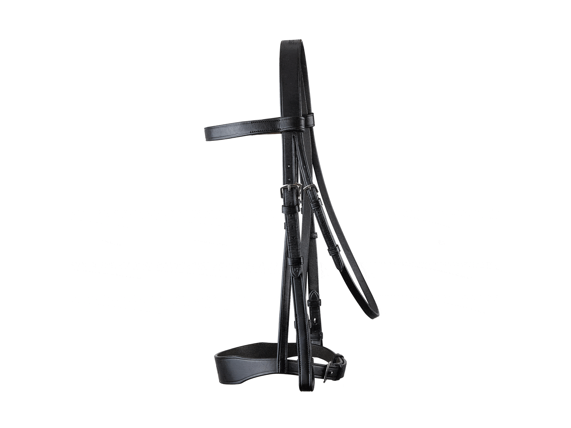 Classic Show Bridle main view