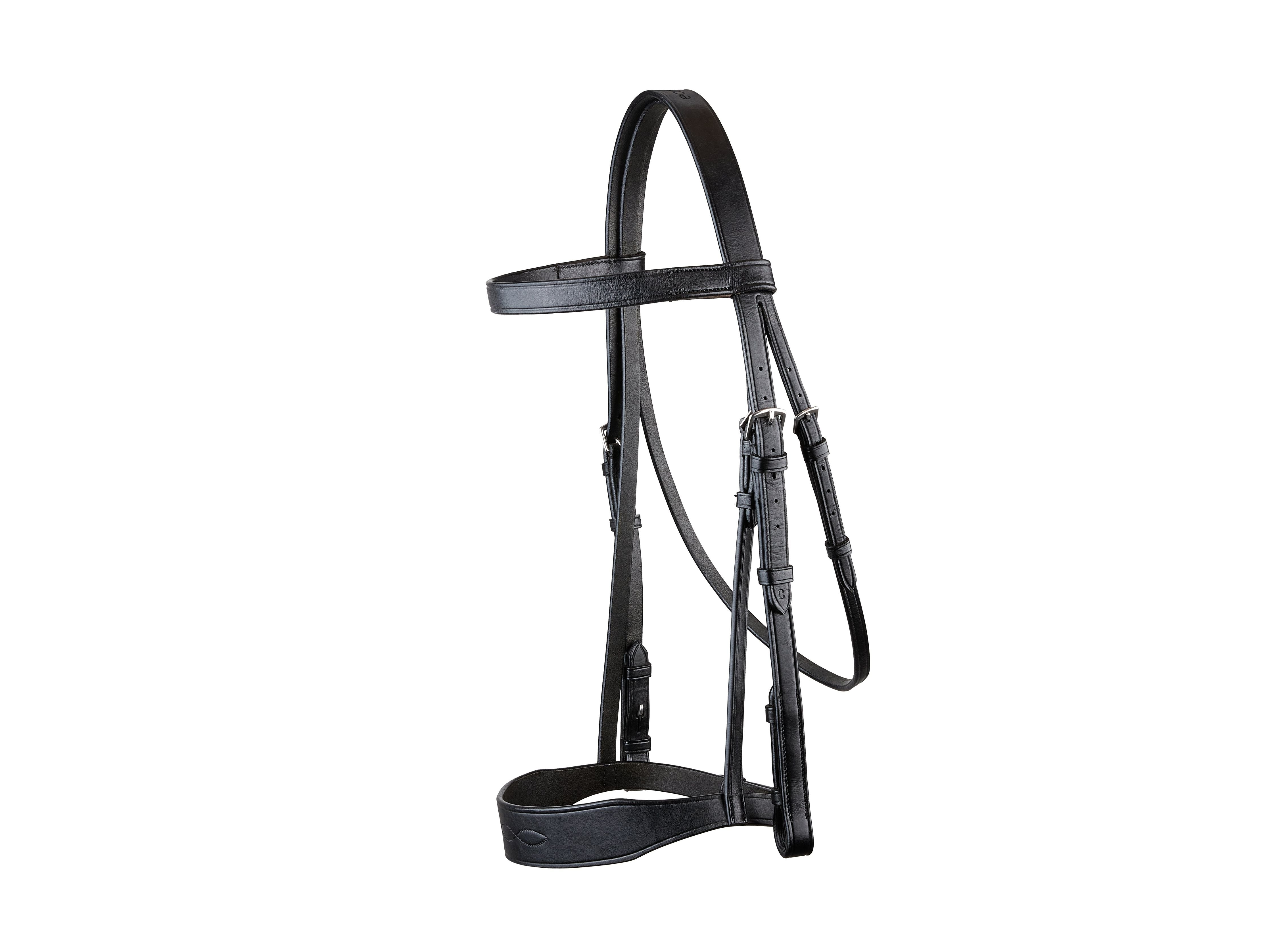Classic Show Bridle detail view