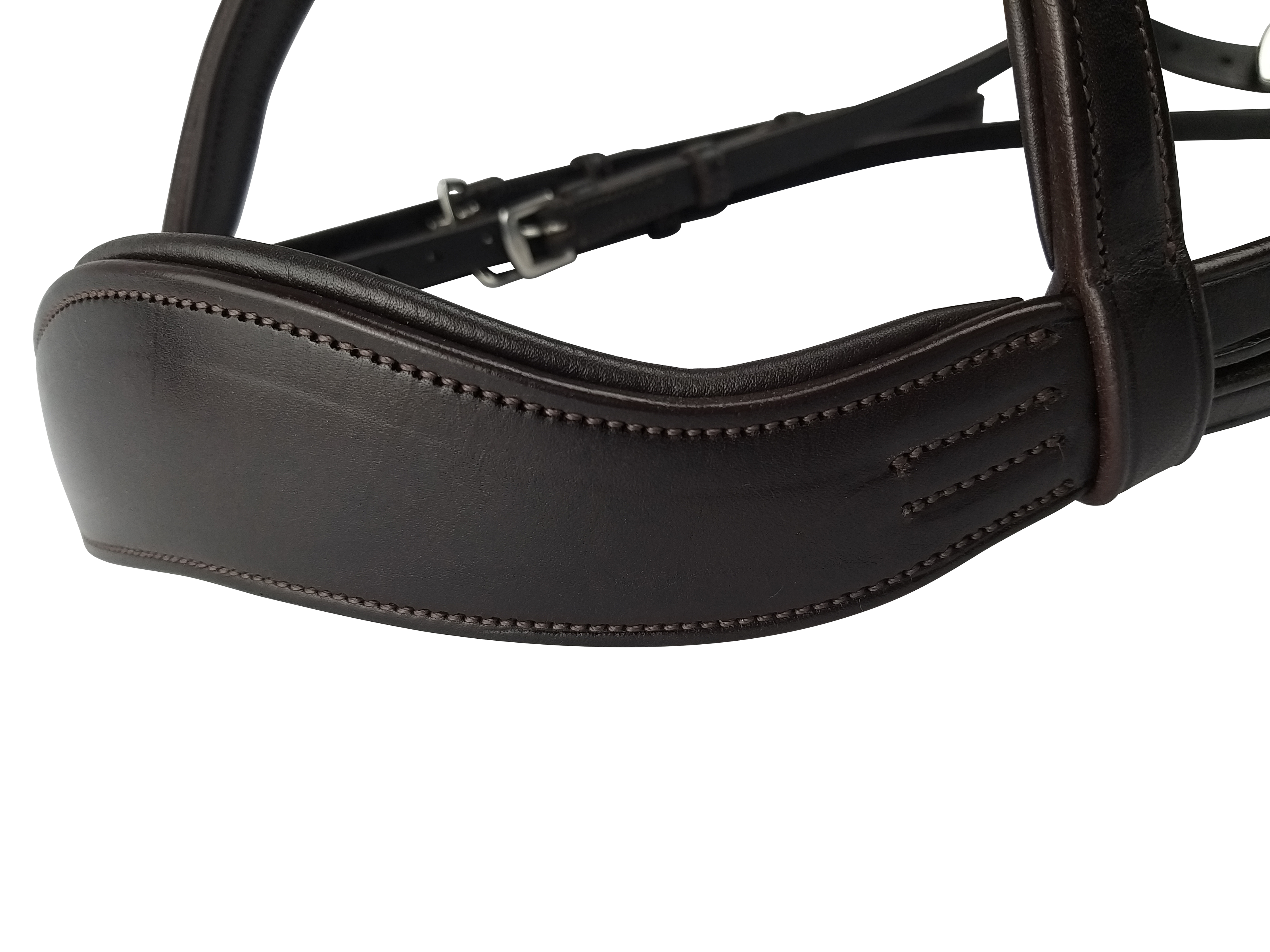 Classic Show Comfort Bridle angled view