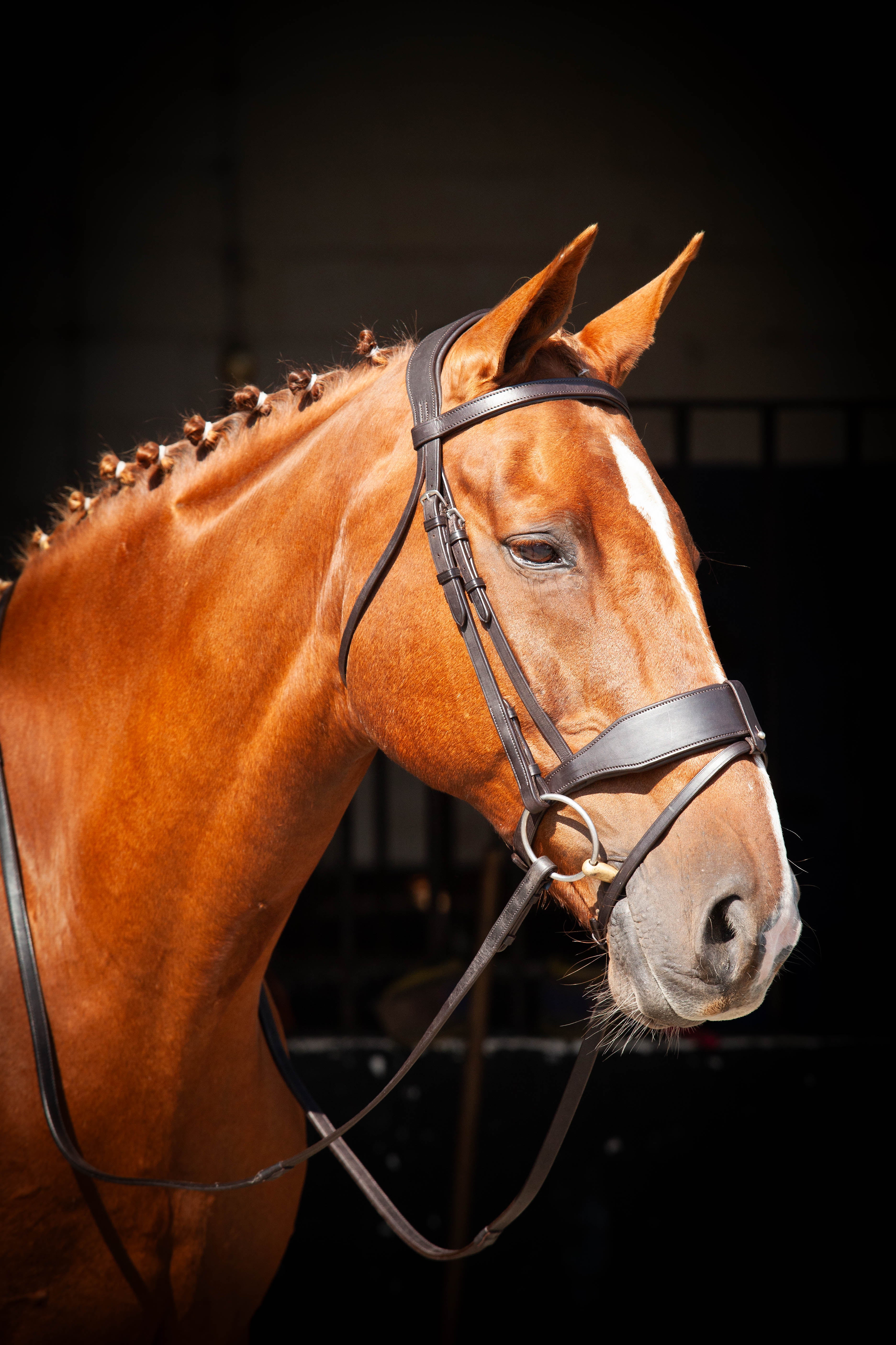 Classic Show Comfort Bridle