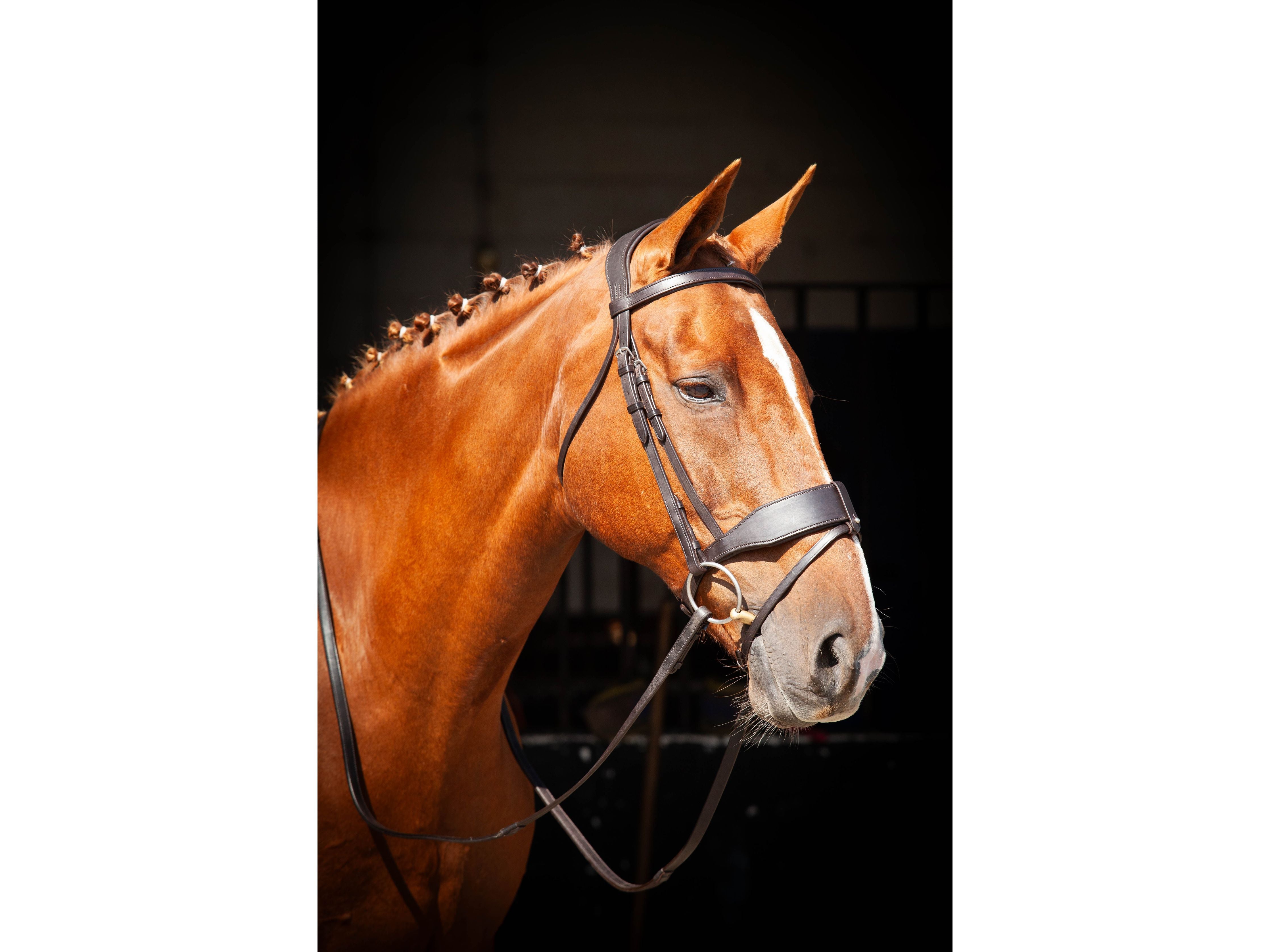 Classic Show Comfort Bridle view