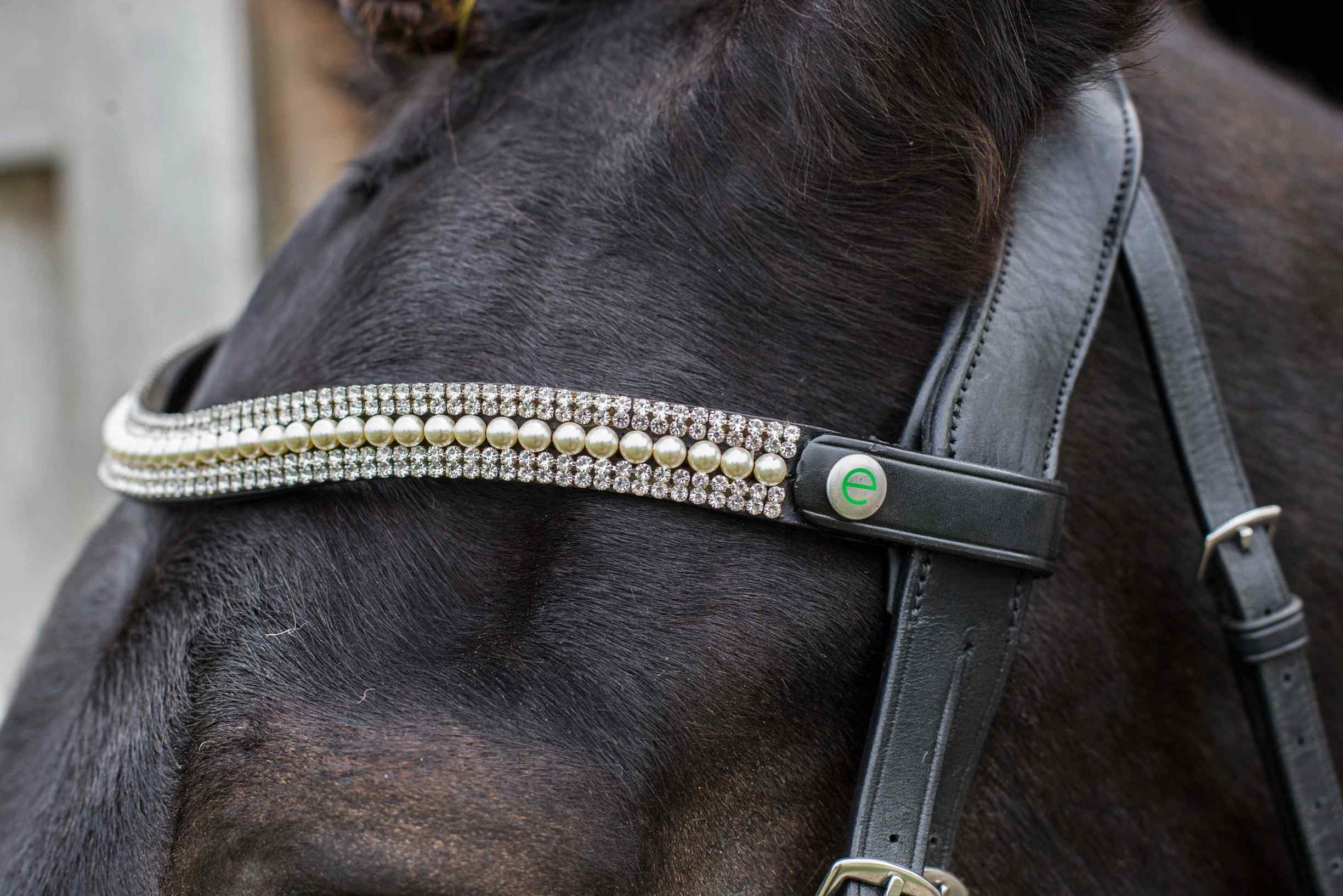 Freedom Grace Browband