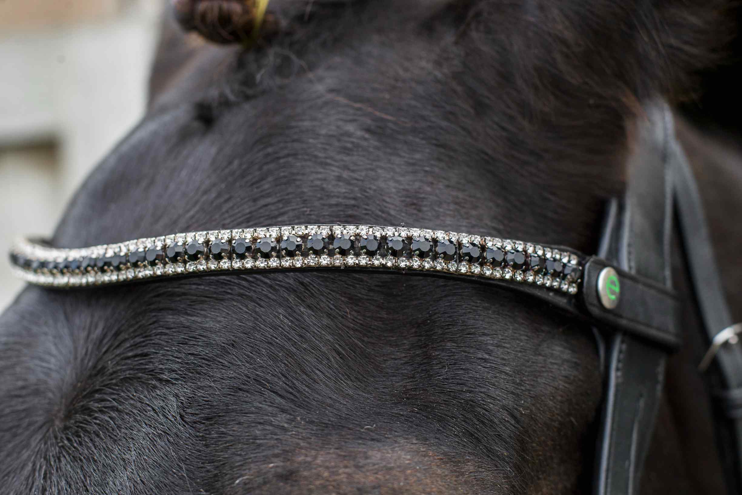 Freedom Juliette Browband