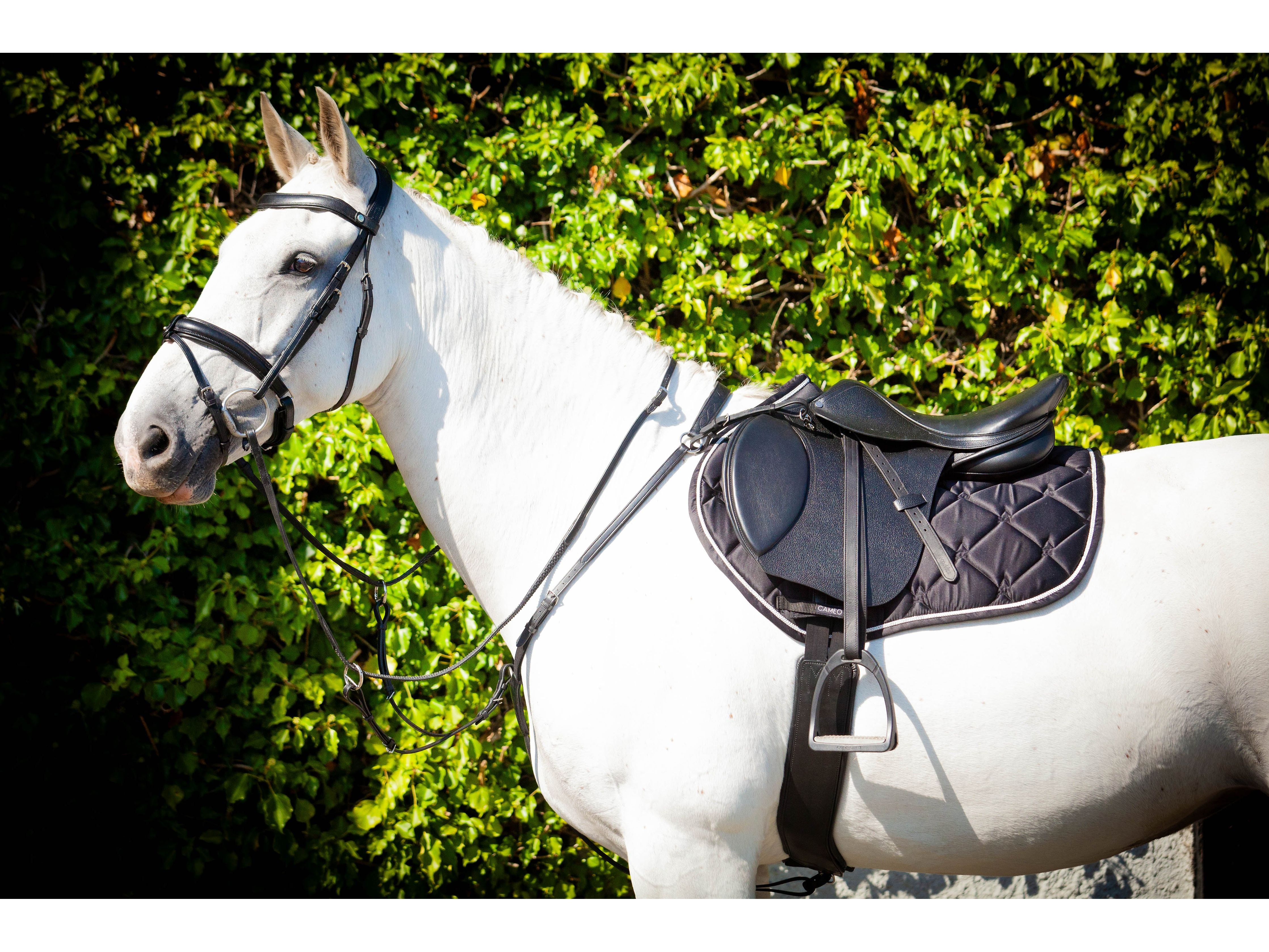 Harmony Saddle side view