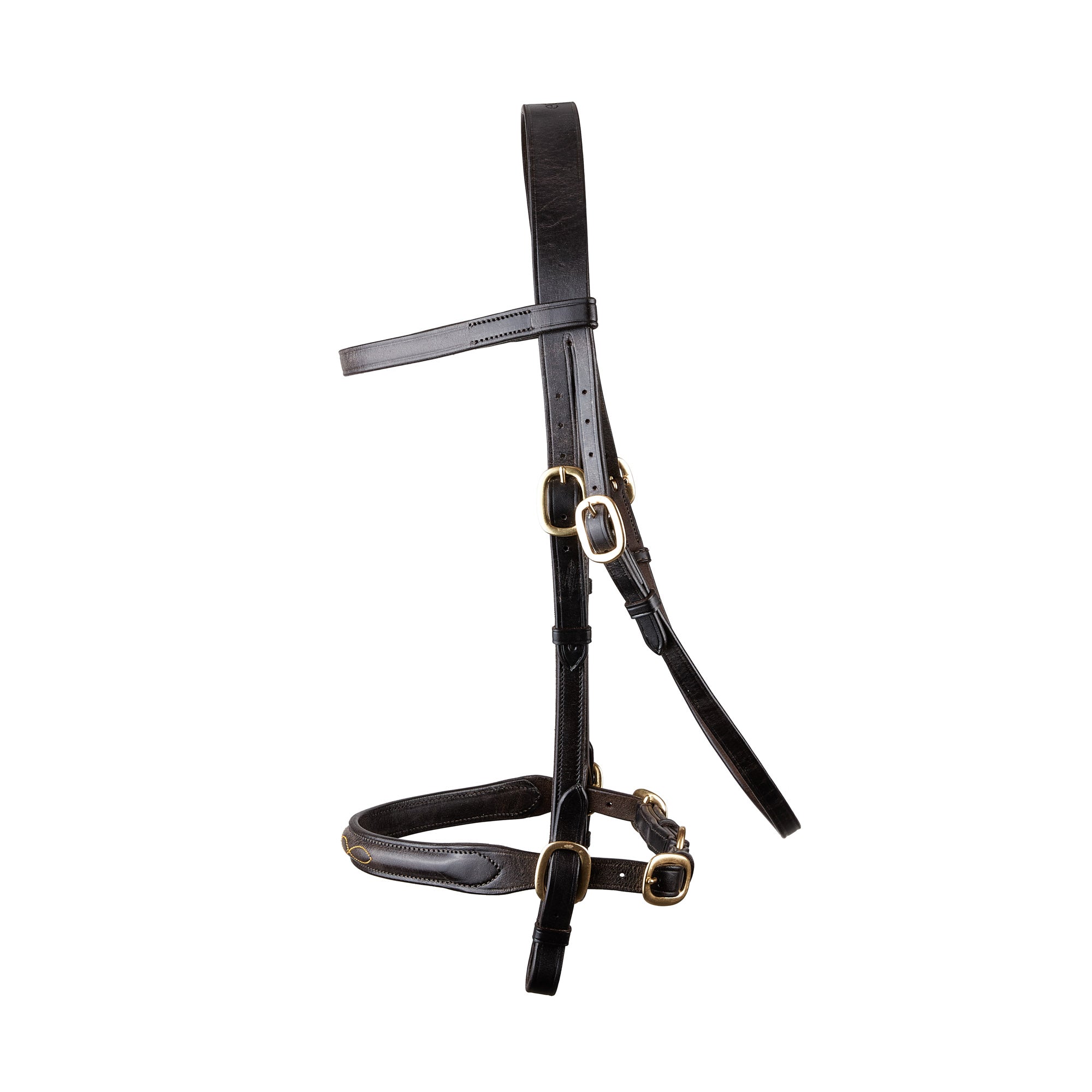 Classic In hand Bridle