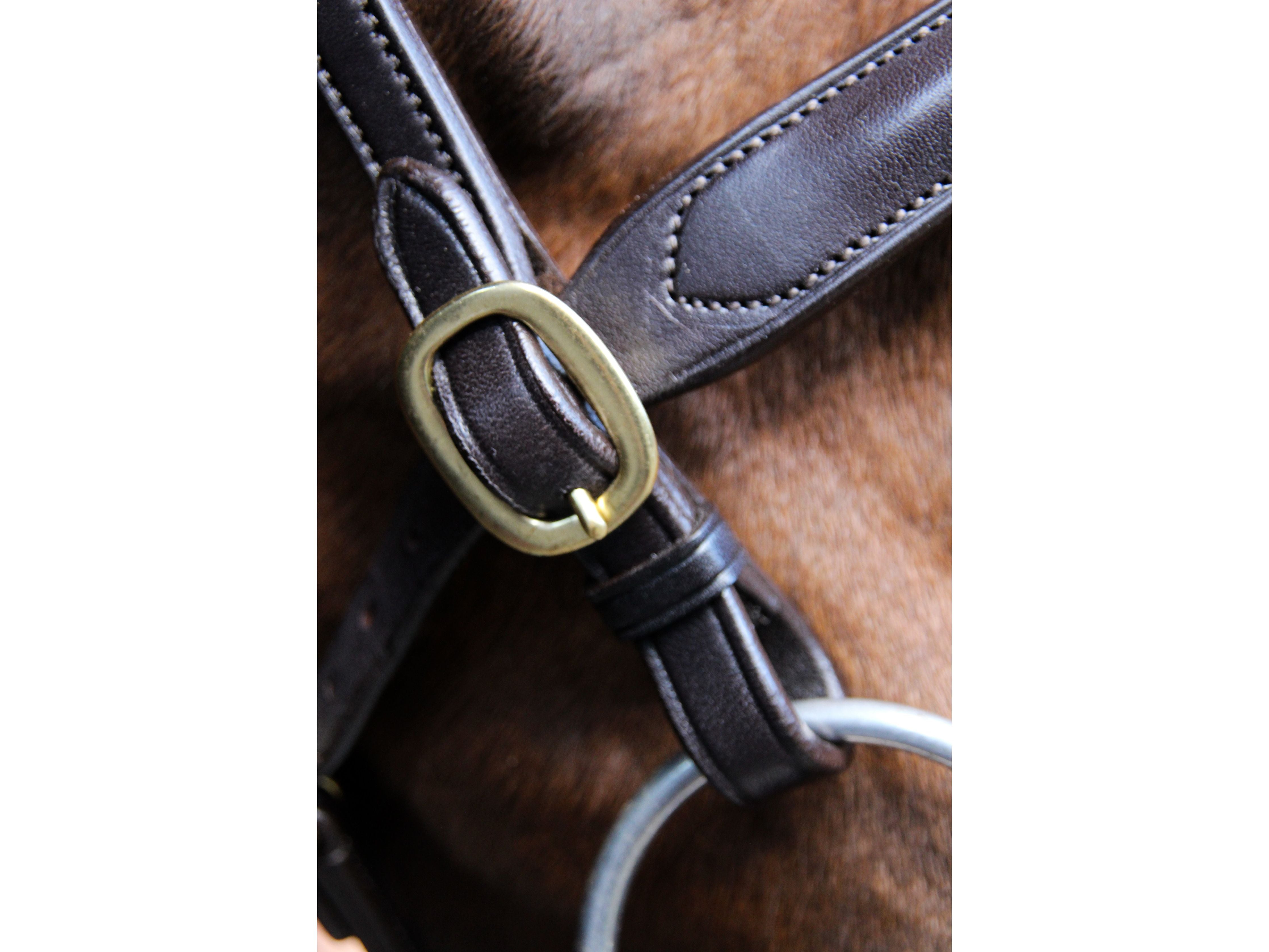 Classic In hand Bridle close-up