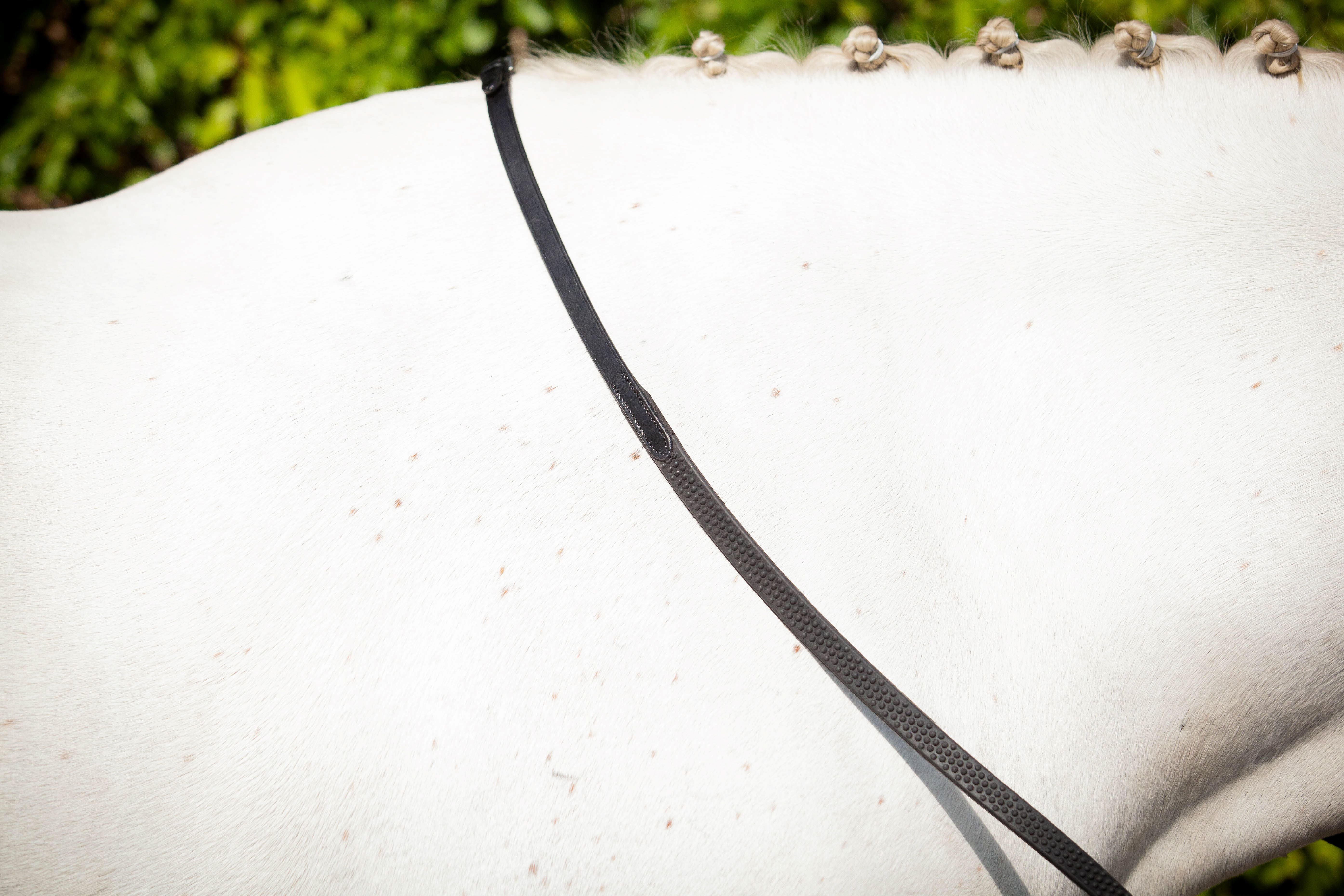 Ultra Comfort Flexi Rein