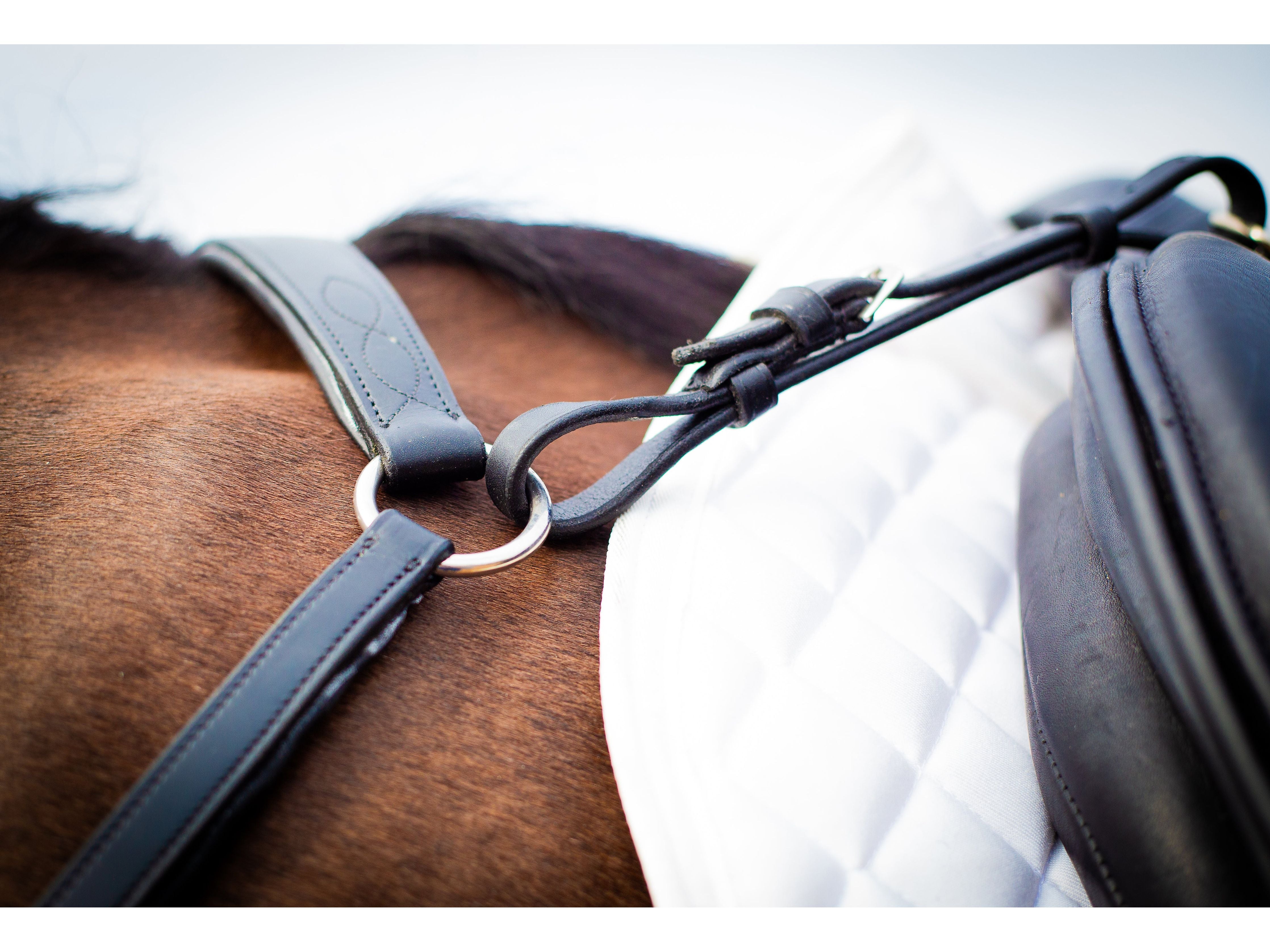 Ultra Comfort Elasticated Breastplate detail view