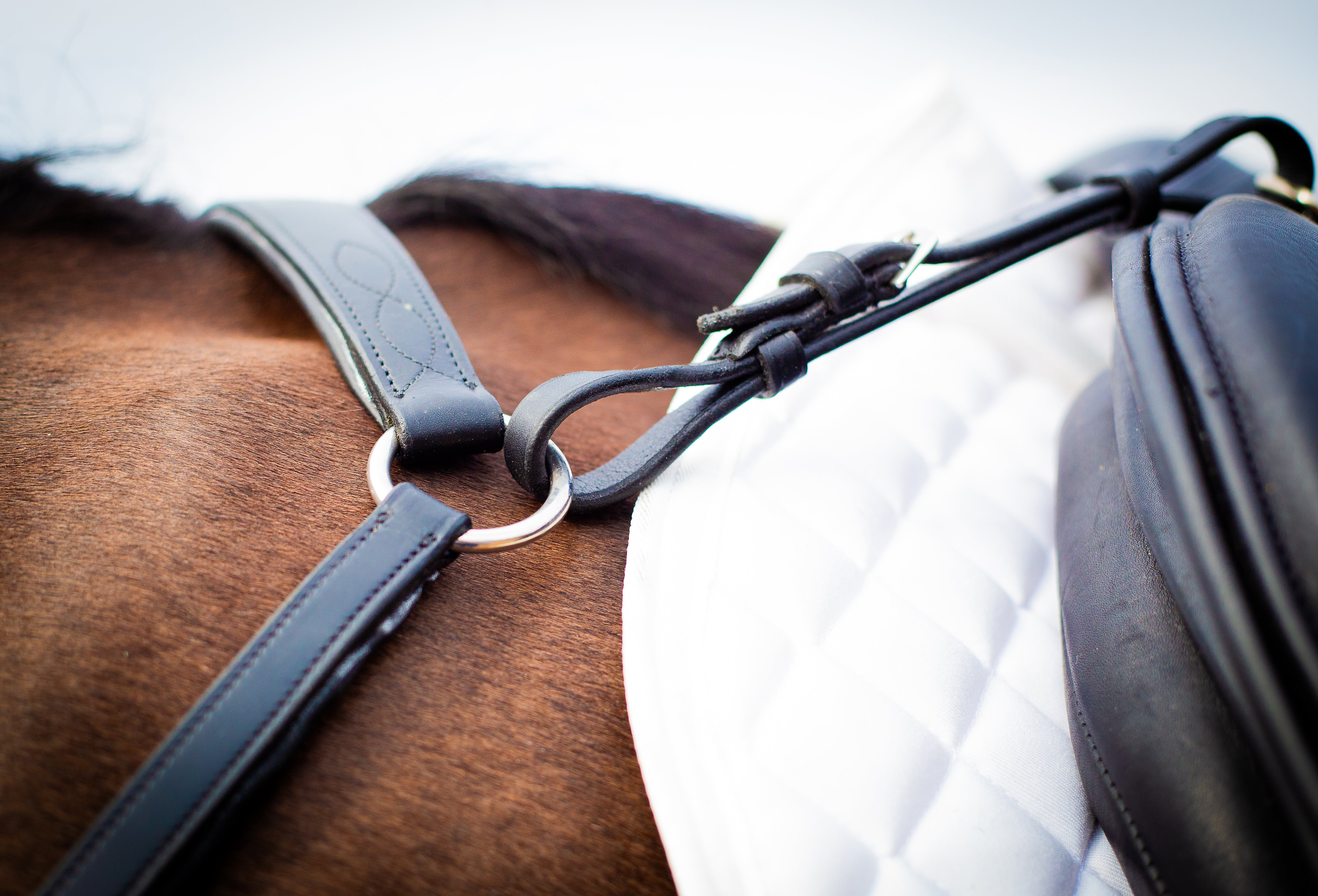 Ultra Comfort Elasticated Breastplate