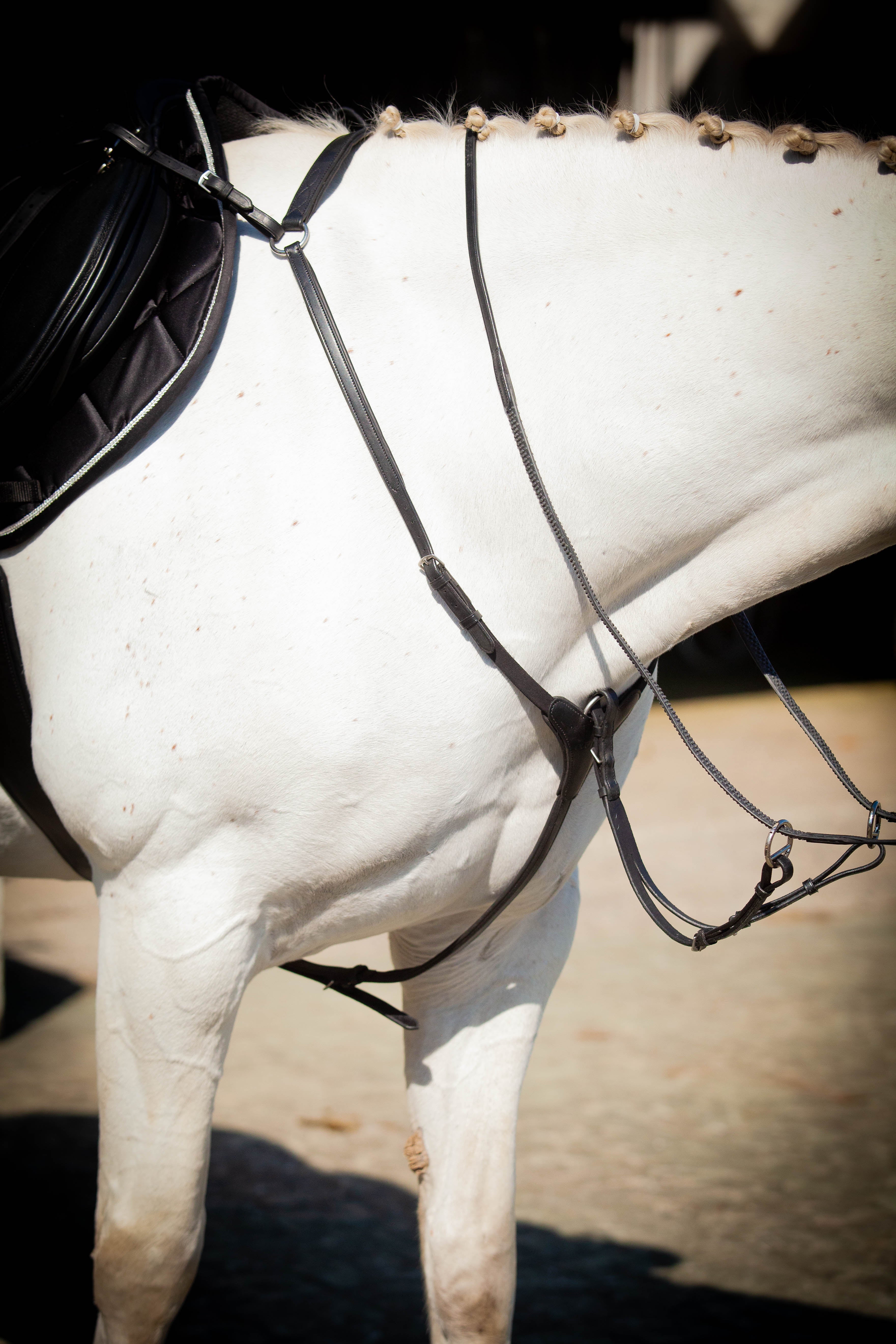 Ultra Comfort Elasticated Breastplate