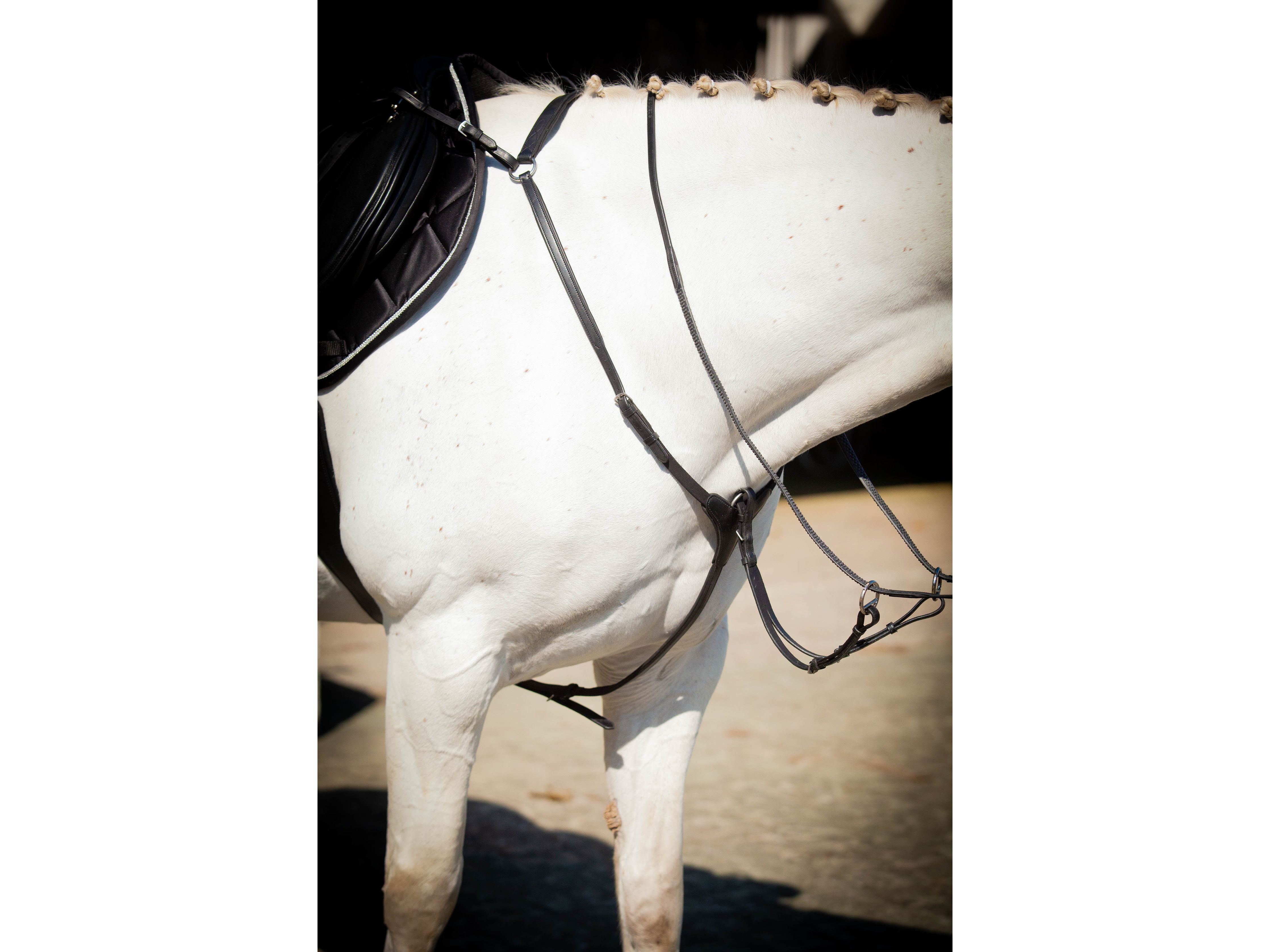 Ultra Comfort Elasticated Breastplate side view