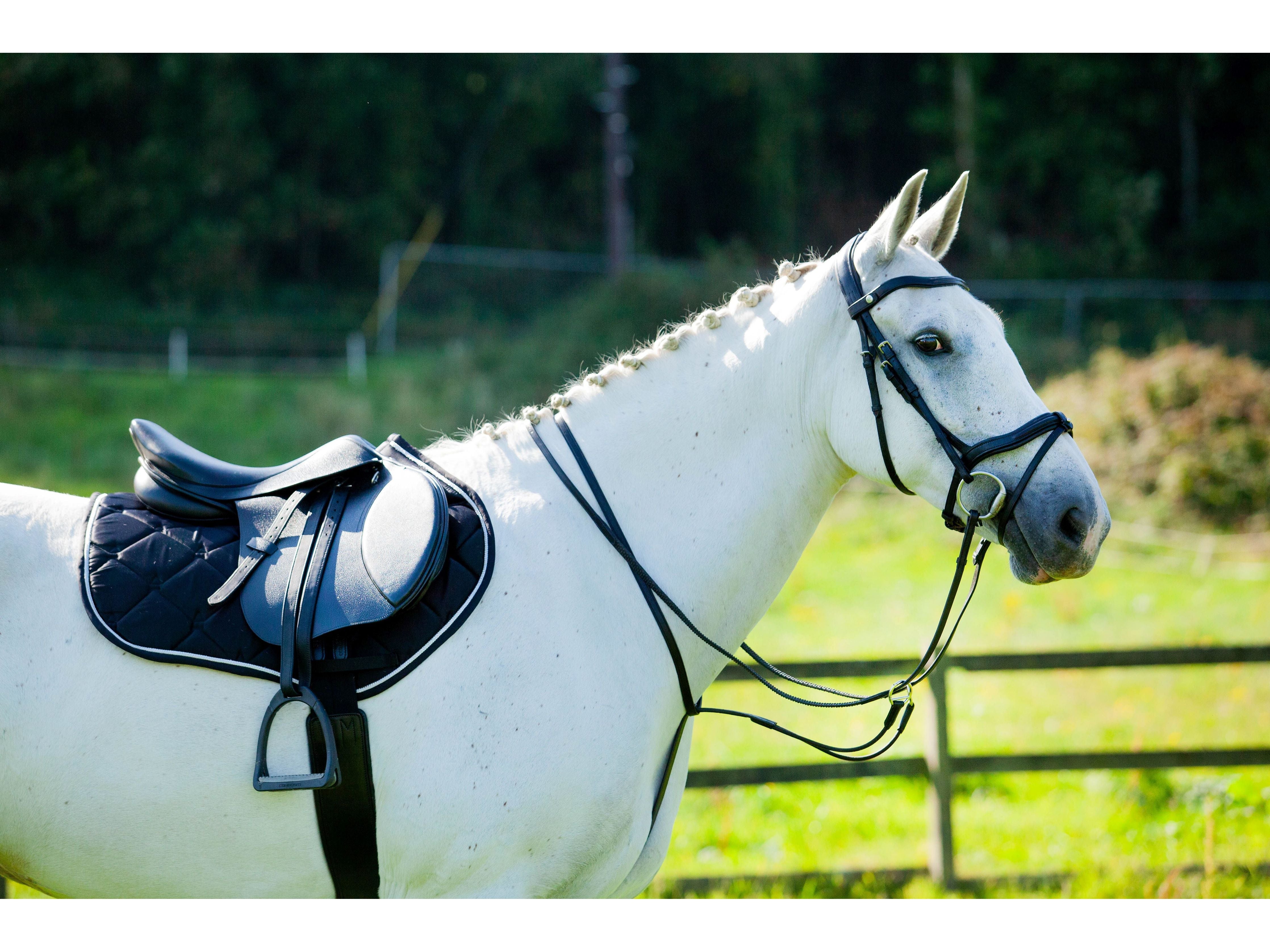 Ultra Comfort Elasticated Martingale side view
