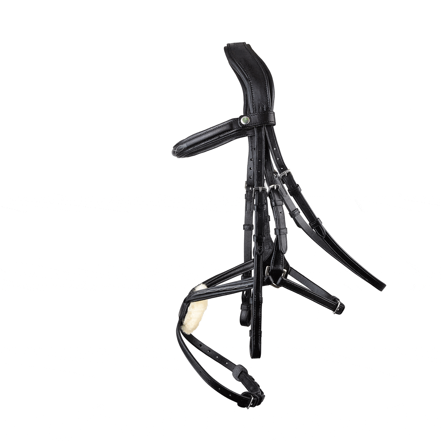 Galway v2.0 Bridle