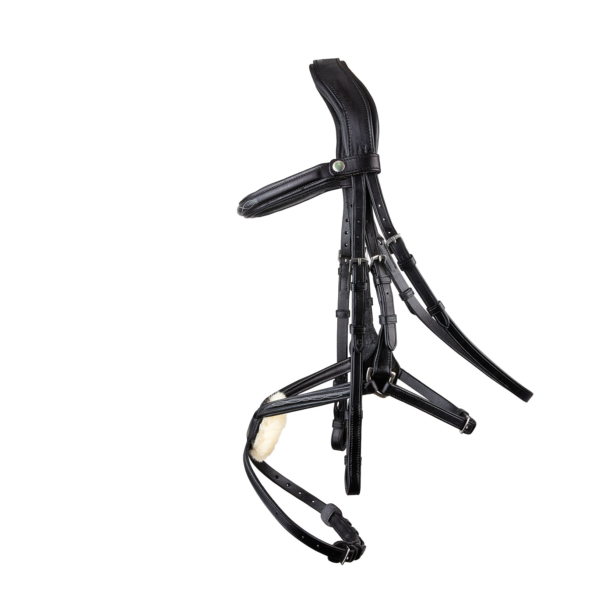 Galway v2.0 Bridle