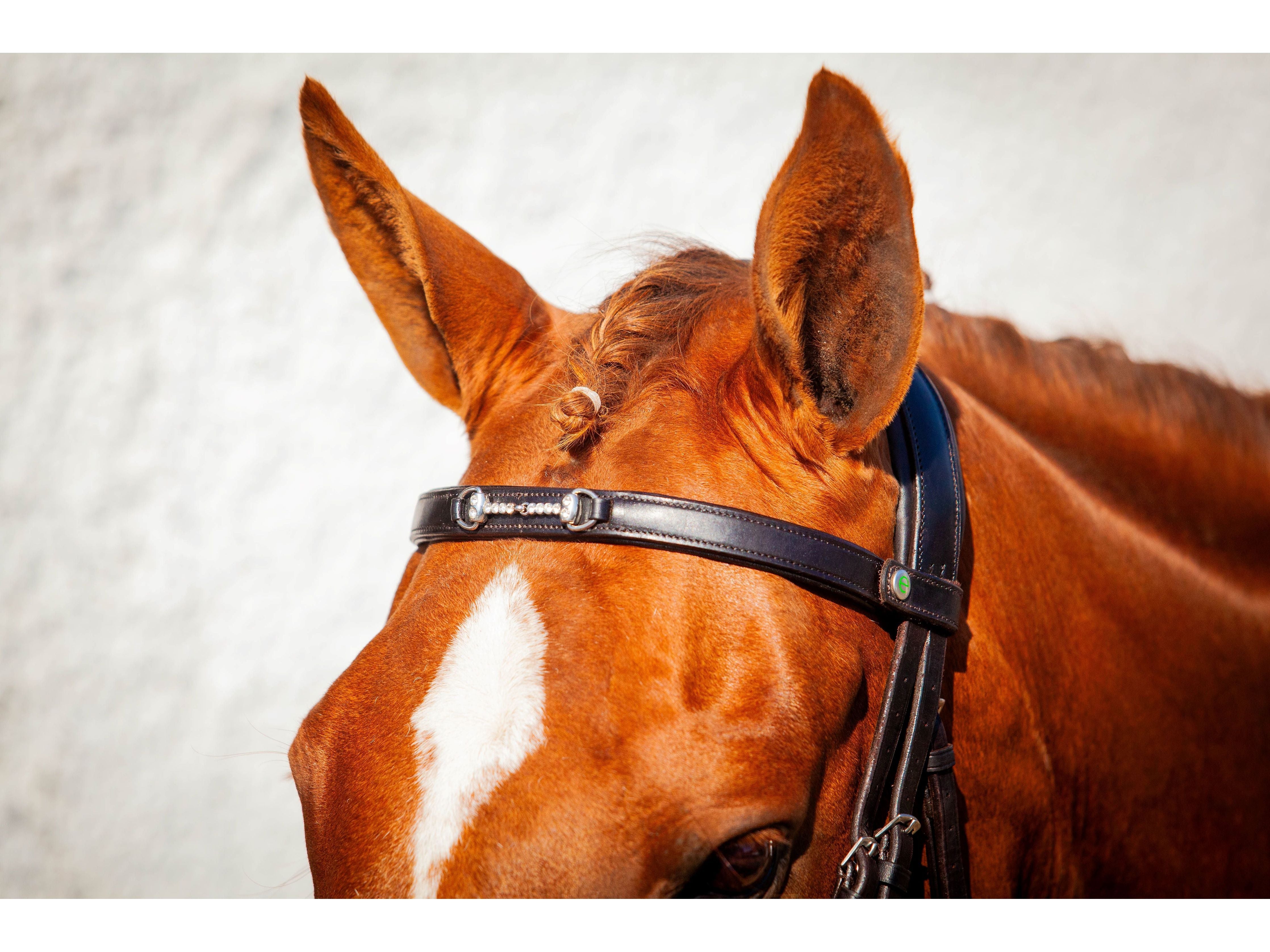 Snaffle Browband detail view