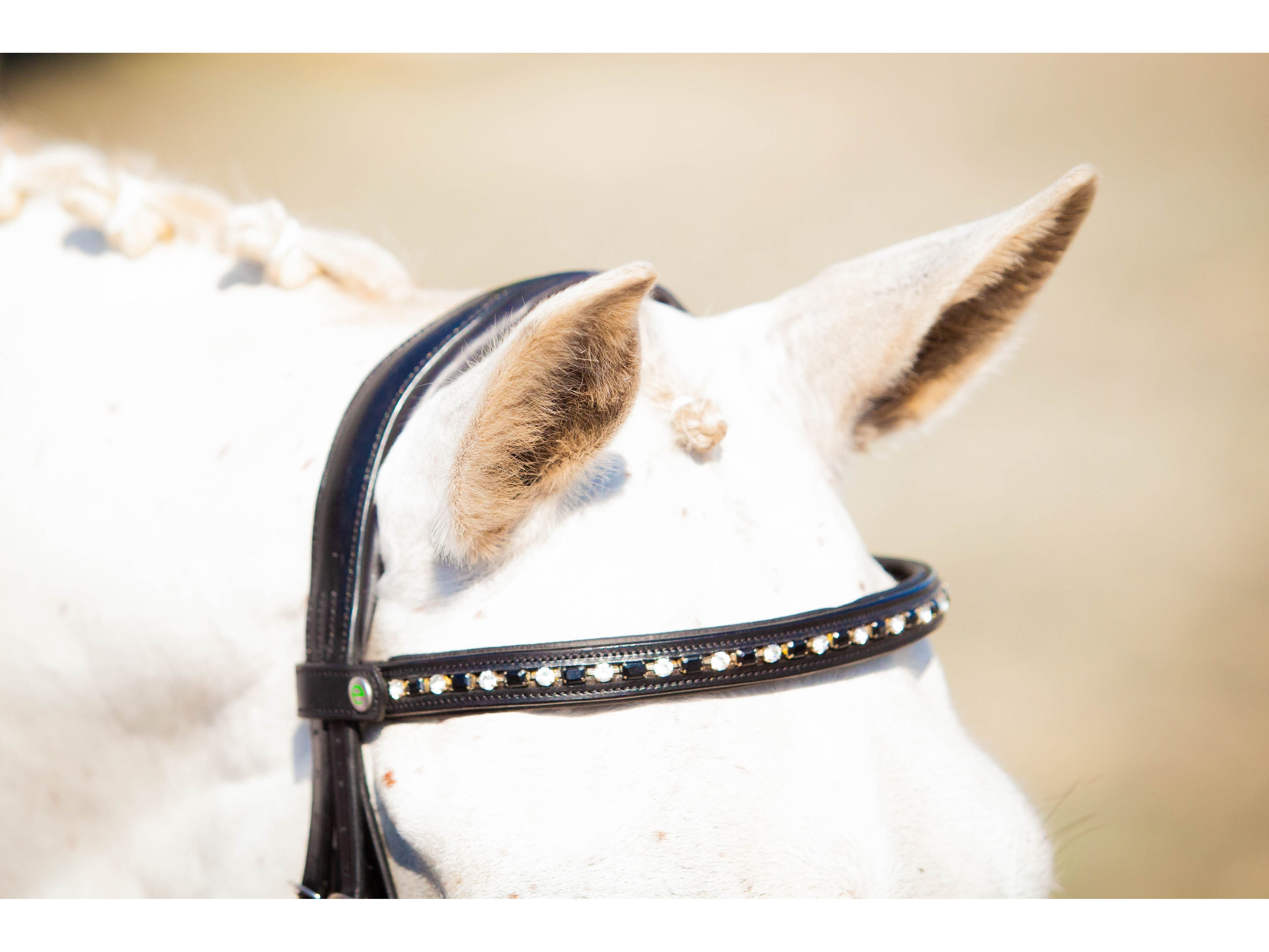 Nouveau Browband detail view