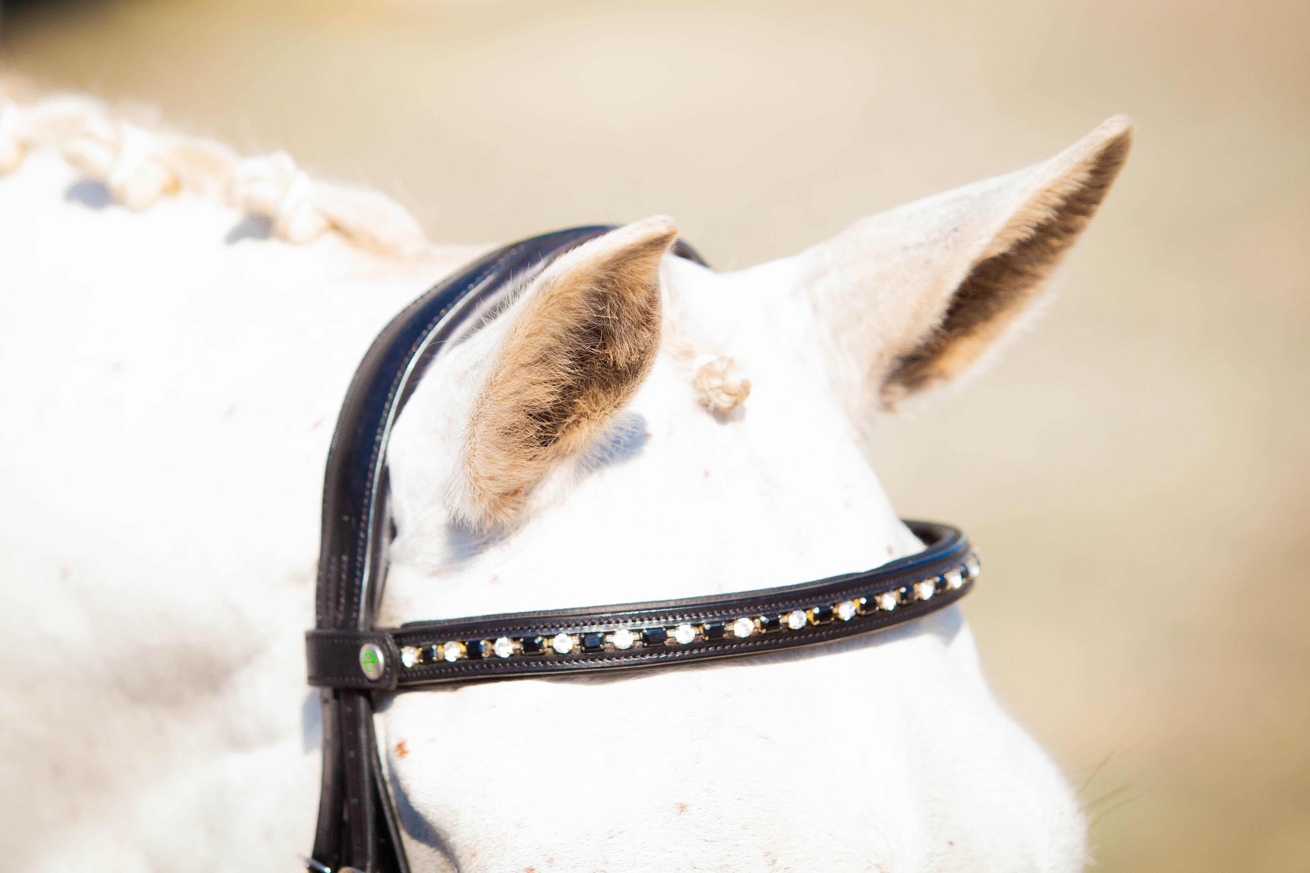 Nouveau Browband