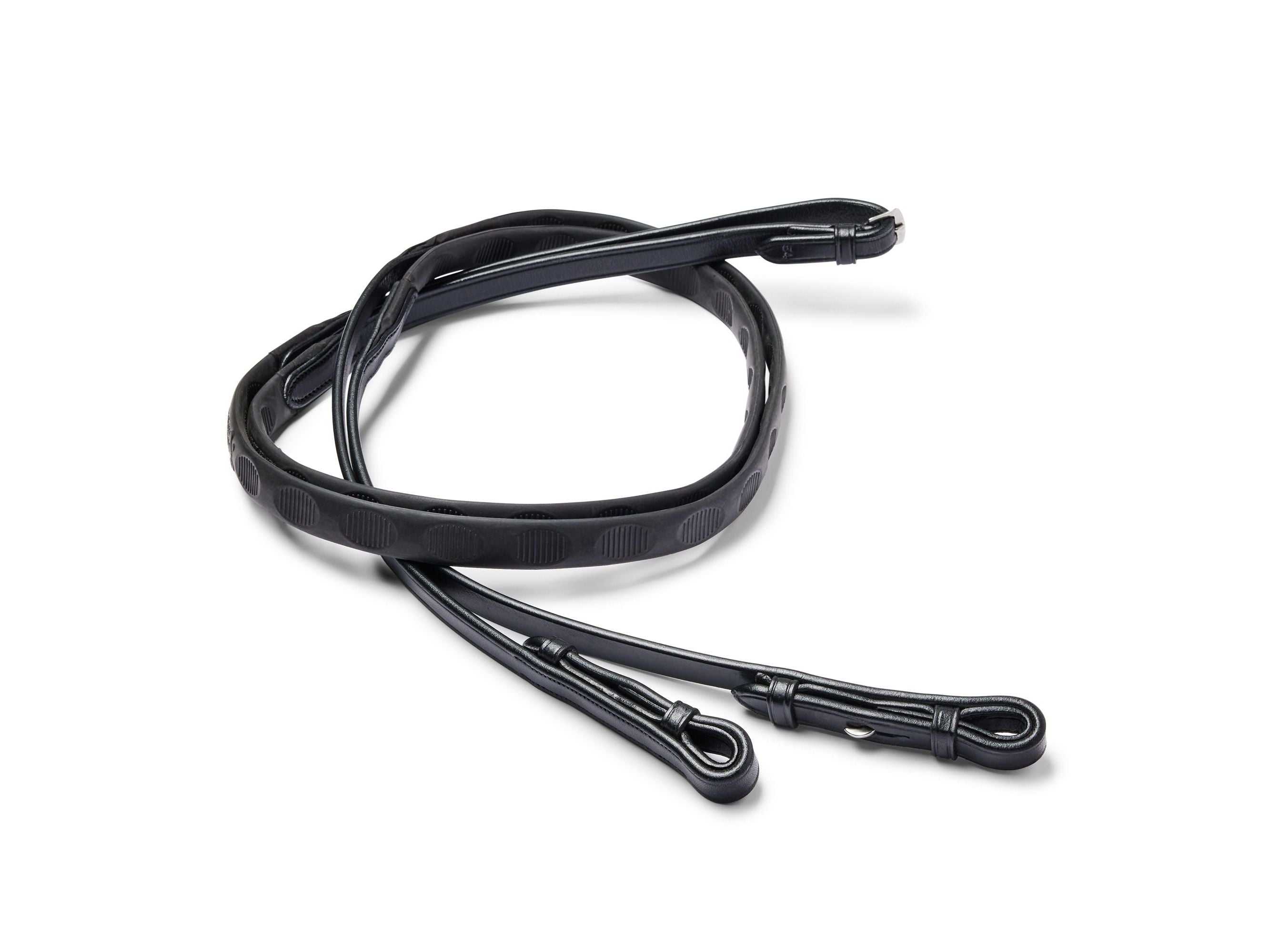 Magna Reins main view