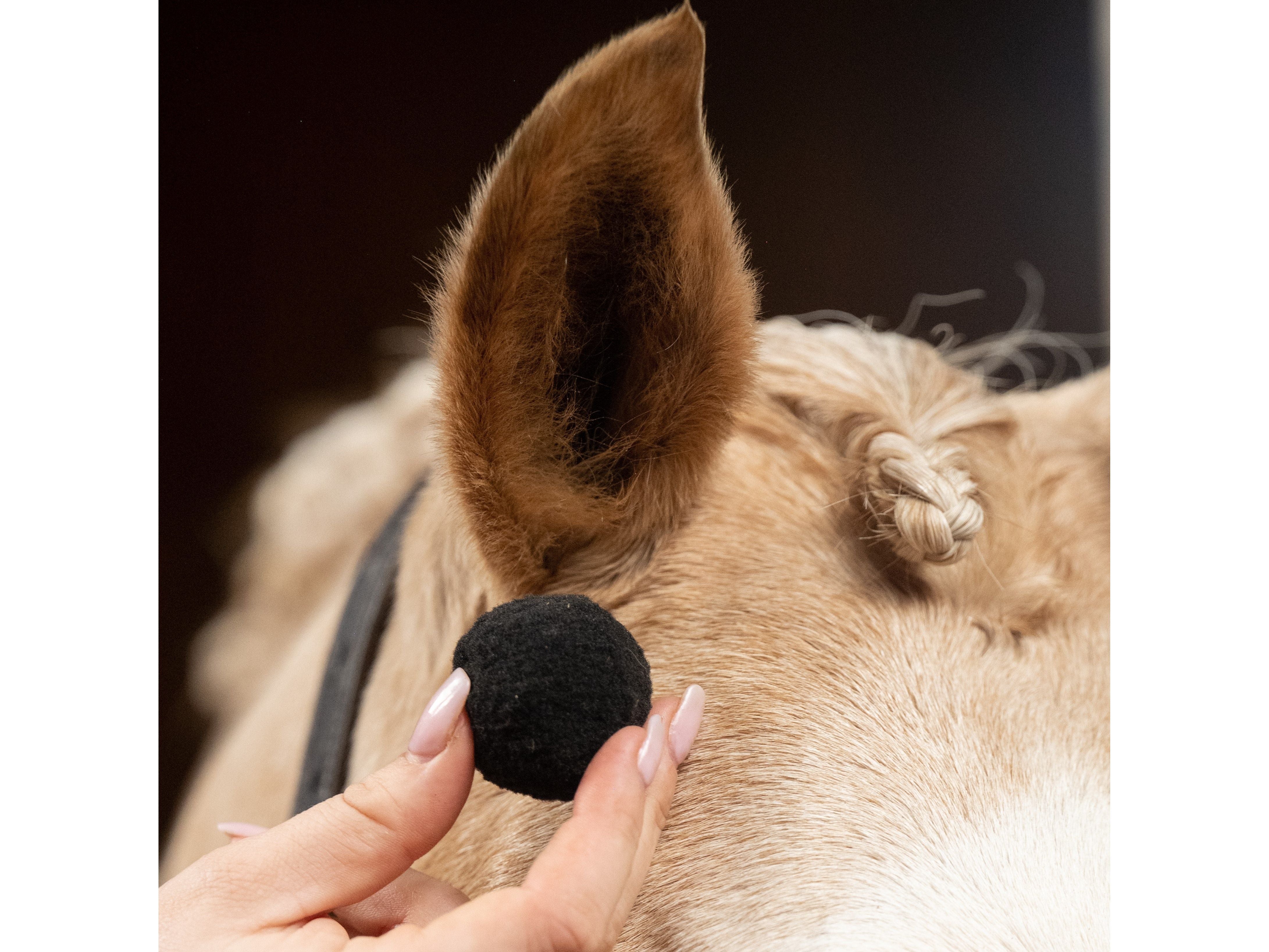 equi plugs - equestrian equipment