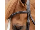 Premier Equine Favoloso Anatomic Bridle with Crank Noseband ExFull Black RRP £104.20