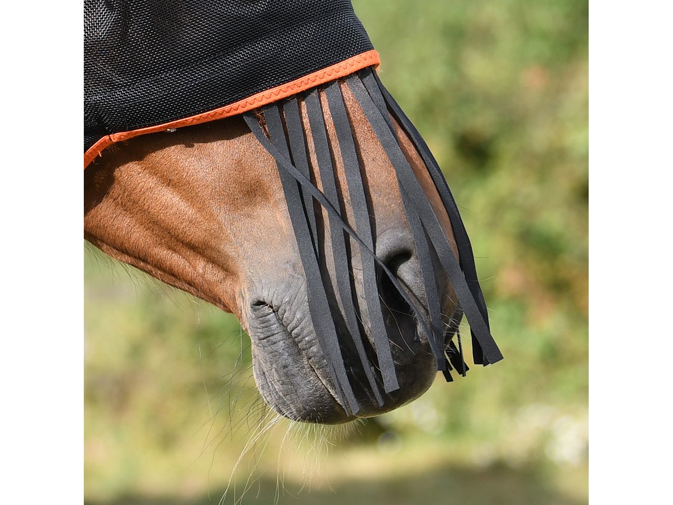 Equilibrium Field Relief Muzzle Fringe