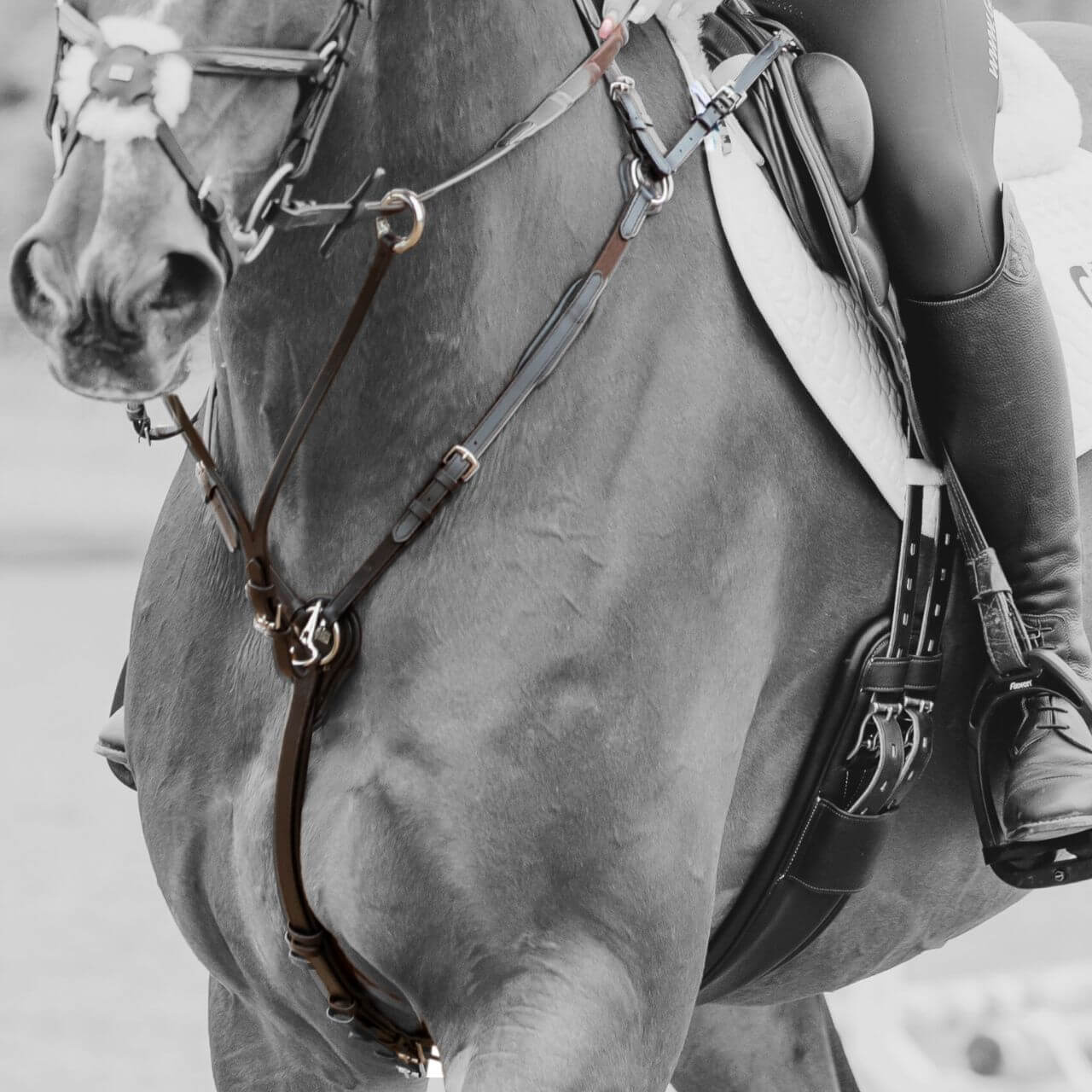 GFS VERSACLIP BREASTPLATE