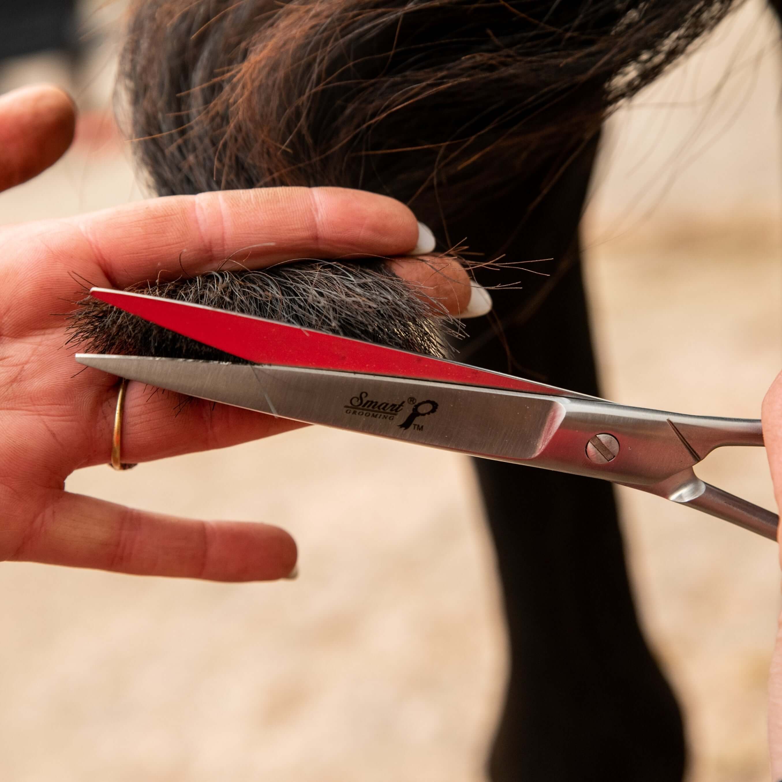 7.5"19cm pointed tail scissors - equestrian equipment