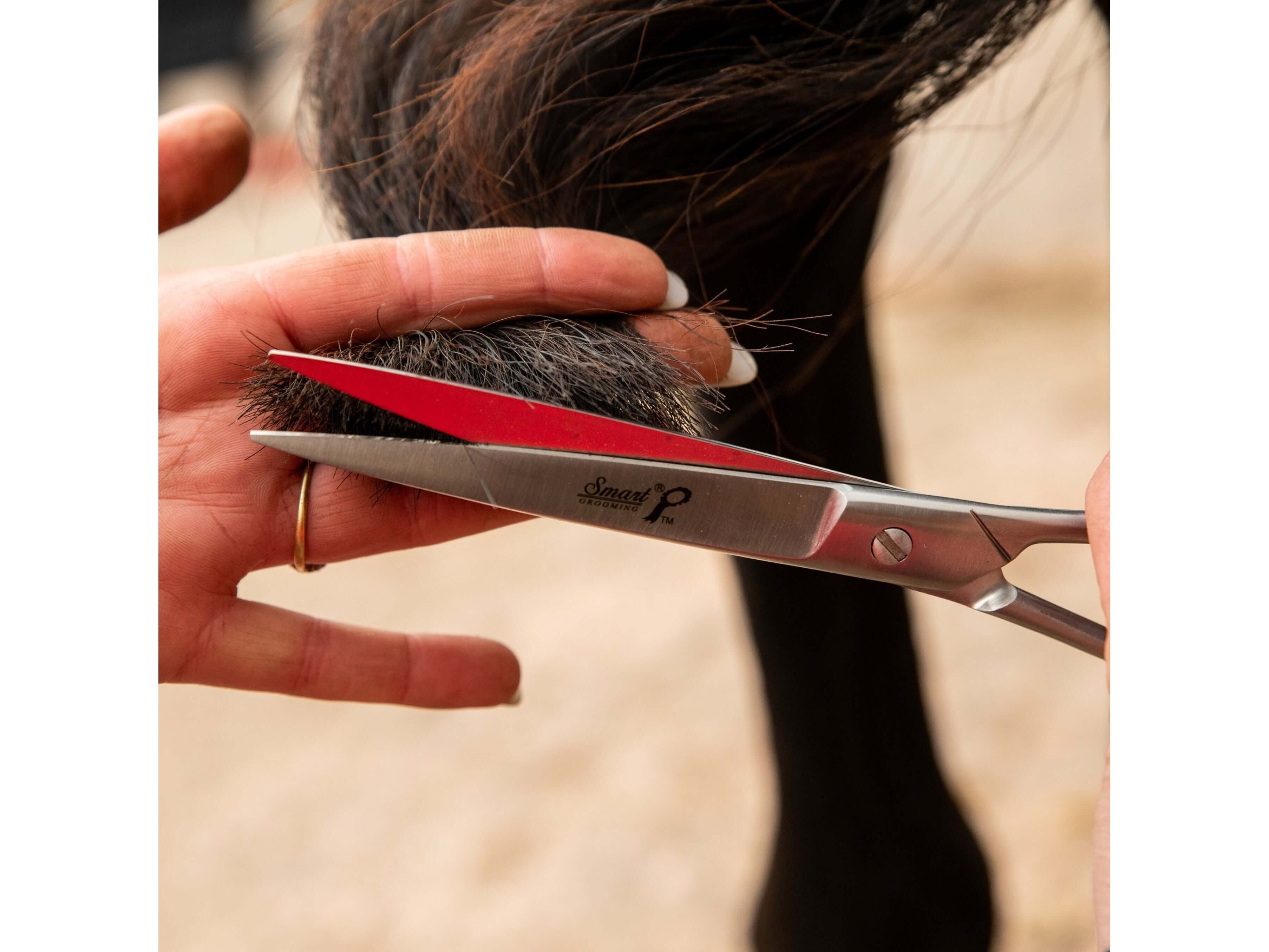 7.5"19cm pointed tail scissors - equestrian equipment