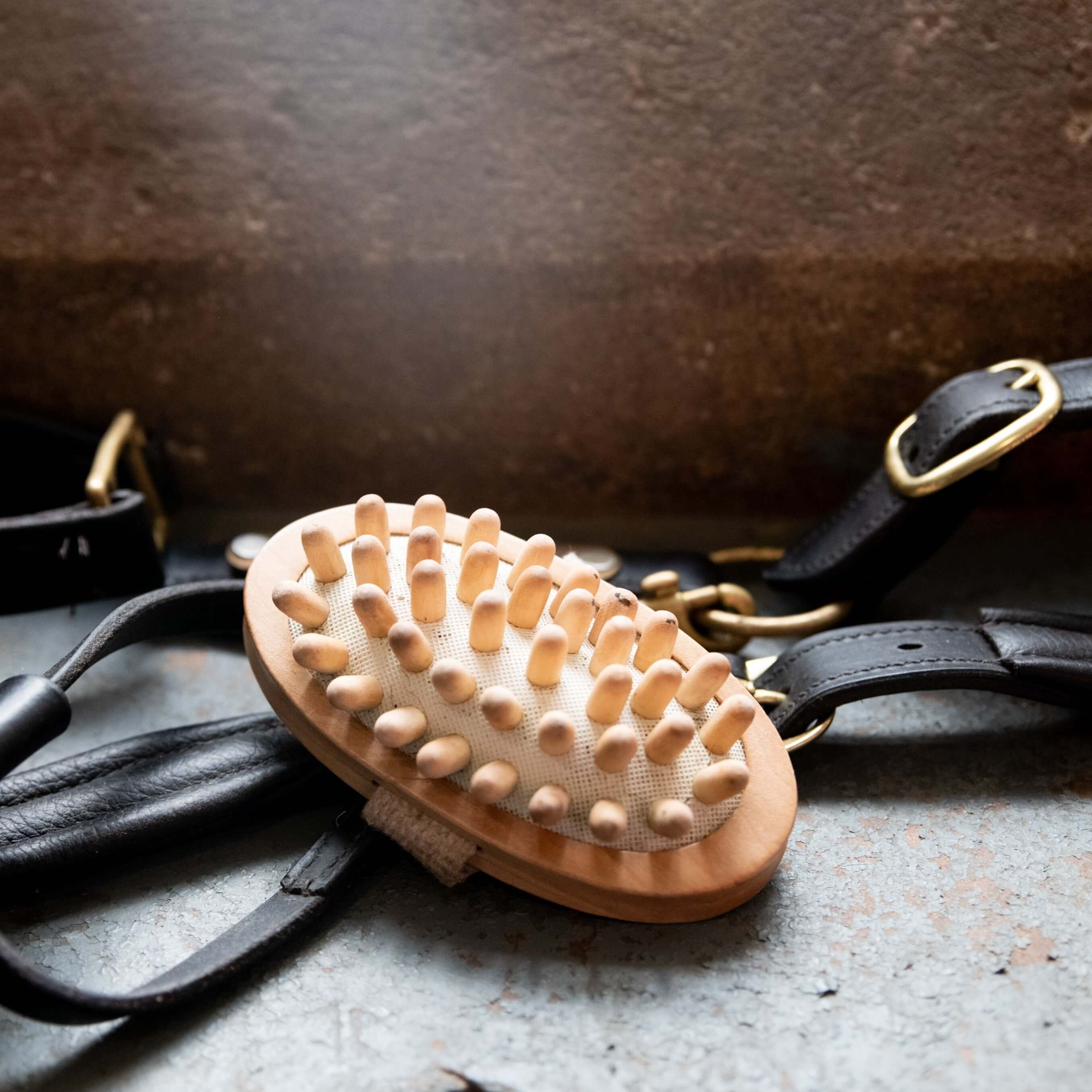borstiq massage brush - equestrian equipment