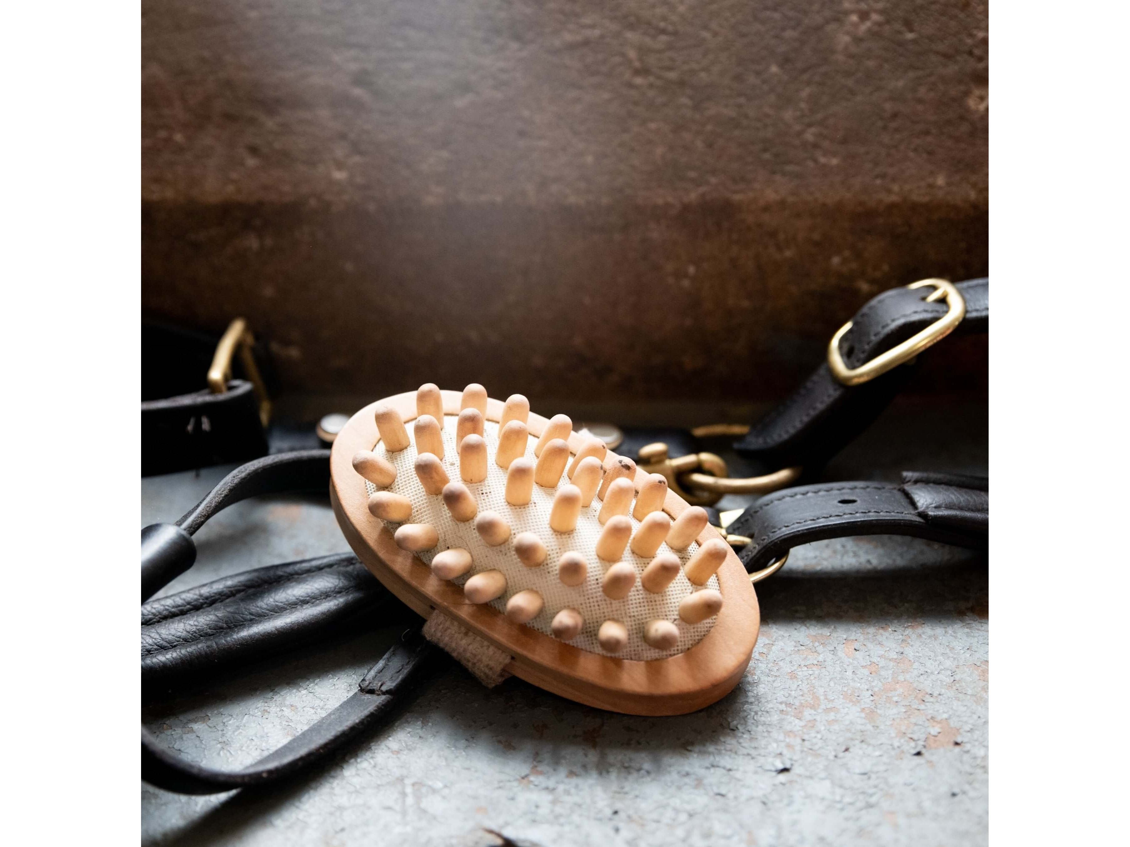 borstiq massage brush - equestrian equipment