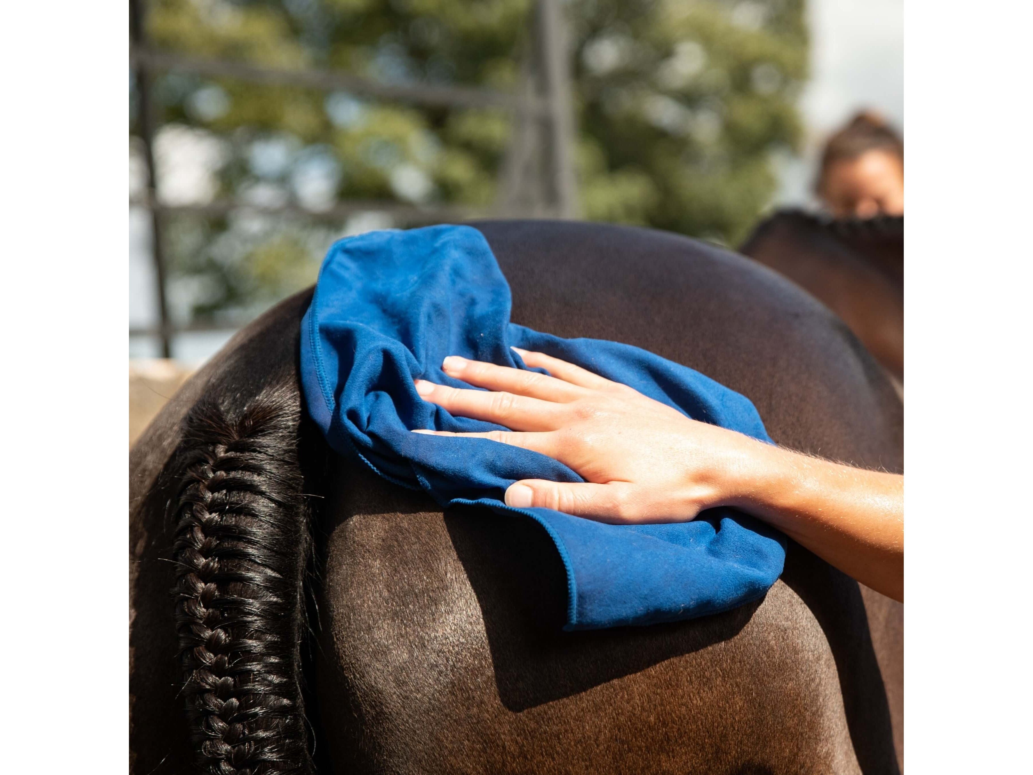 suede feel cloth - pack of 10 - equestrian equipment