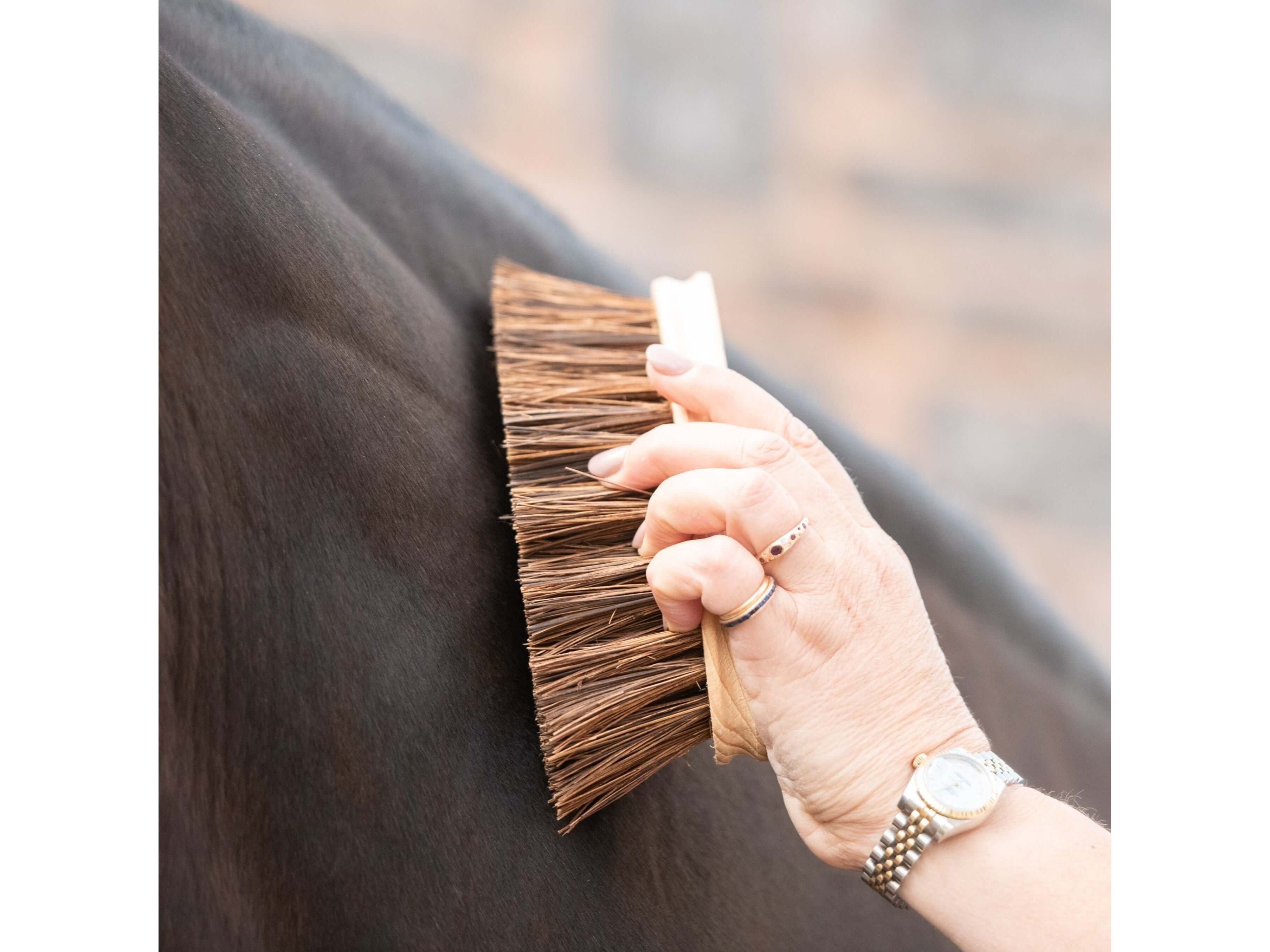 borstiq banana dandy brush - equestrian equipment