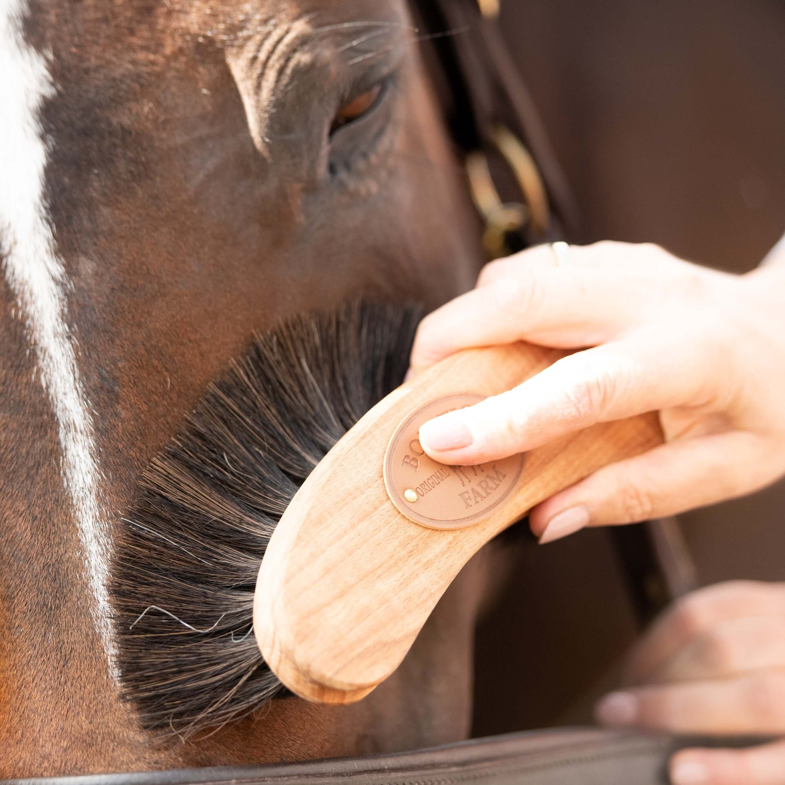 borstiq banana finishing brush - equestrian equipment